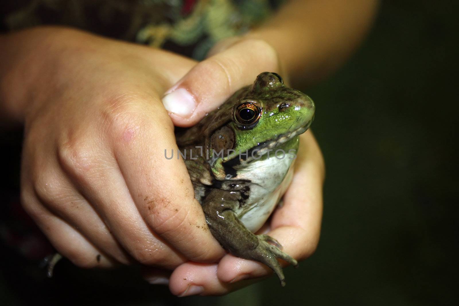 boy with frog by amandaols
