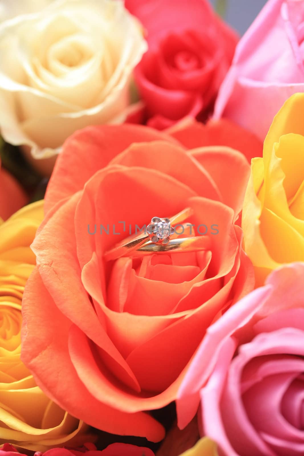 A wedding band and a diamond solitaire in an orange rose in the middle of a mixed bouquet of roses