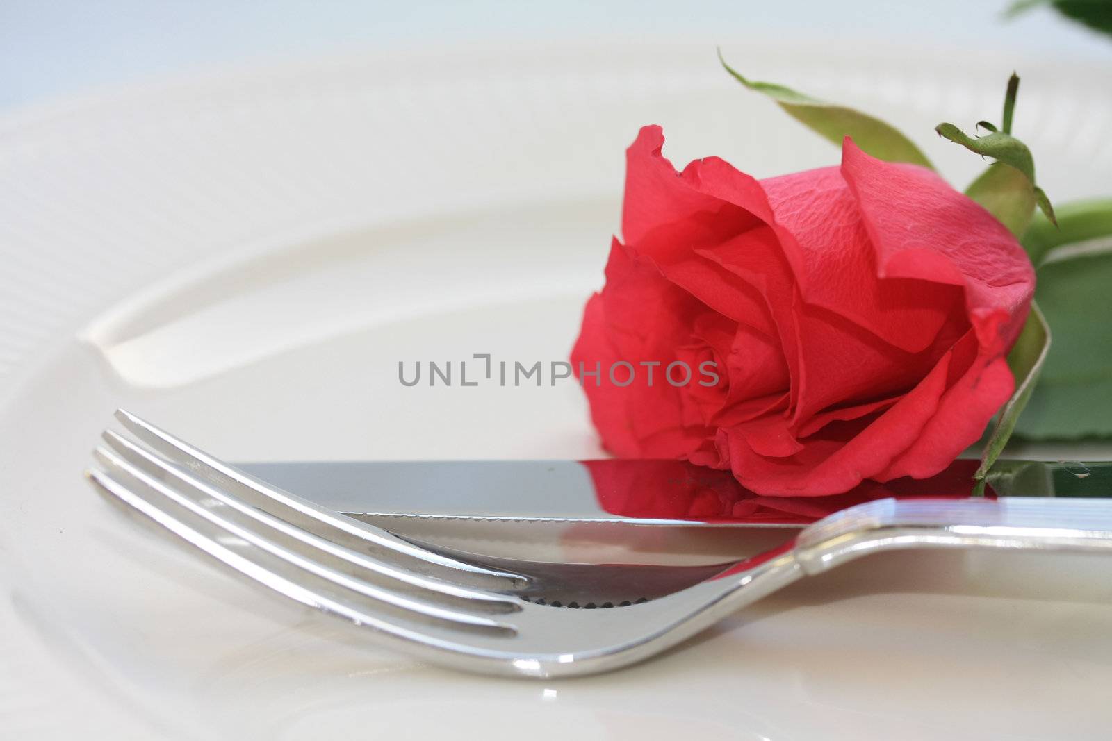 A fork and knife and a red rose, perfect for a dinner invitation