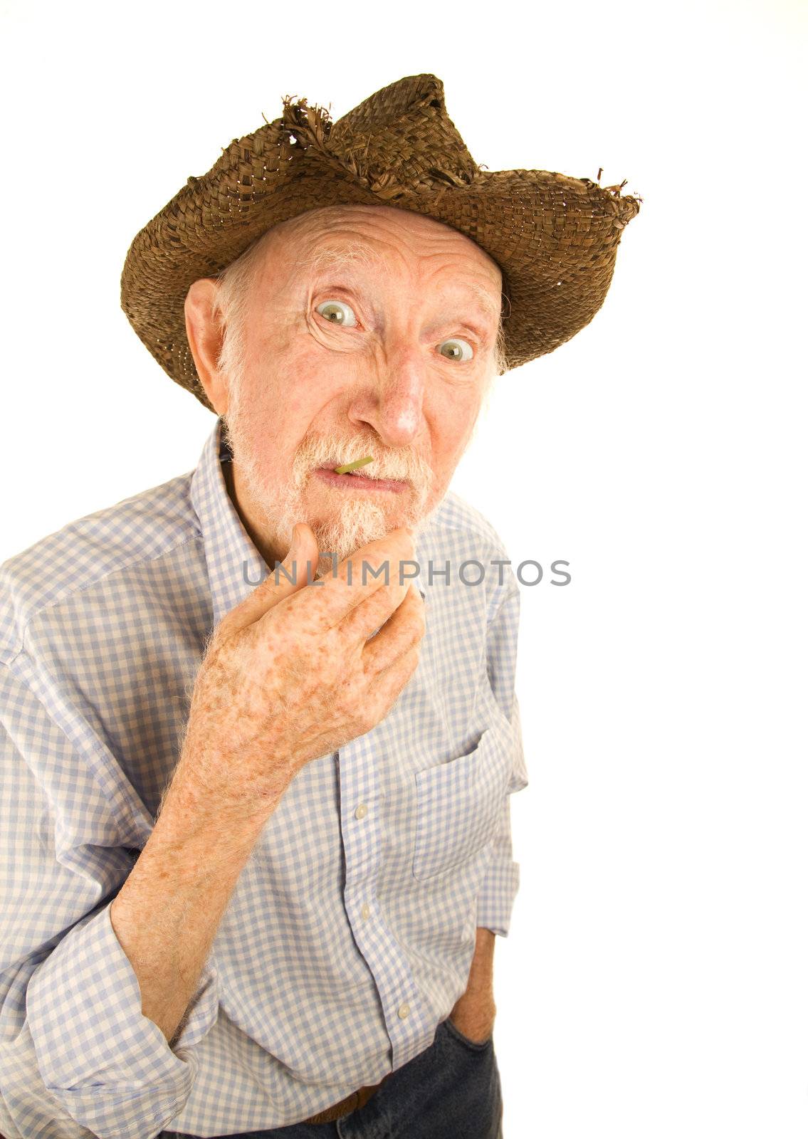 Handsome senior man wearing straw cowboy style hat