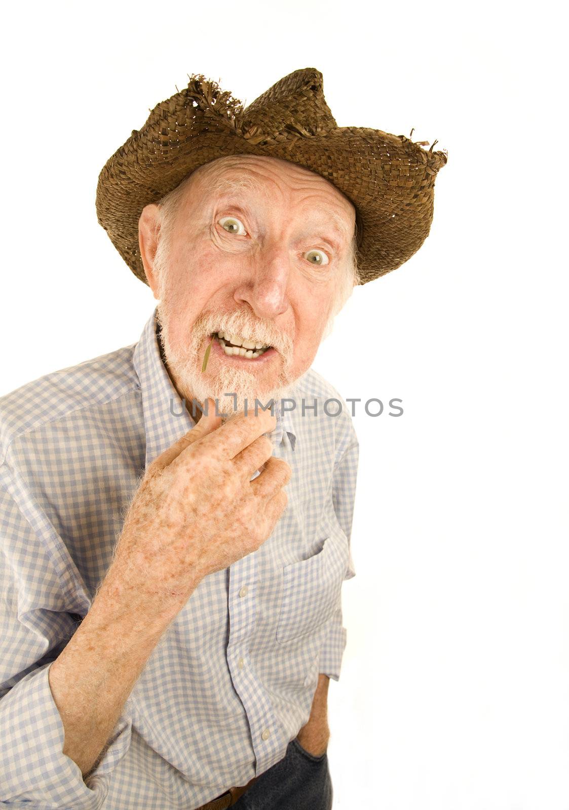 Handsome senior man wearing straw cowboy style hat