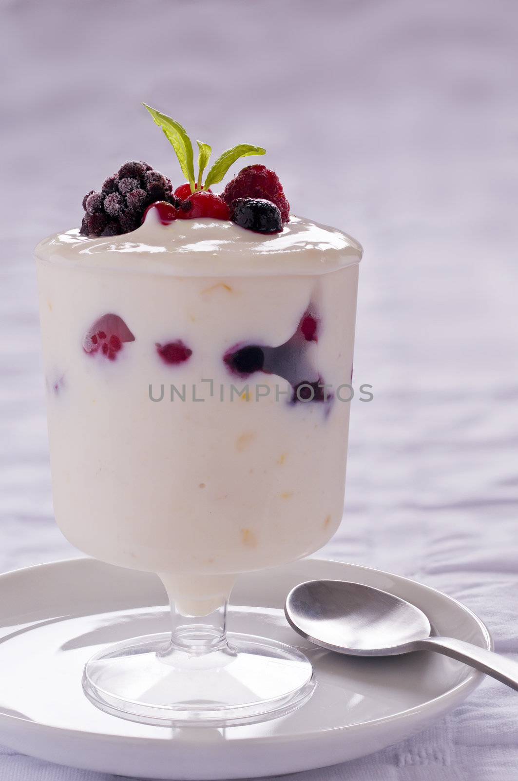 Glass of Yoghurt with Fruit Berries and Mint leaf