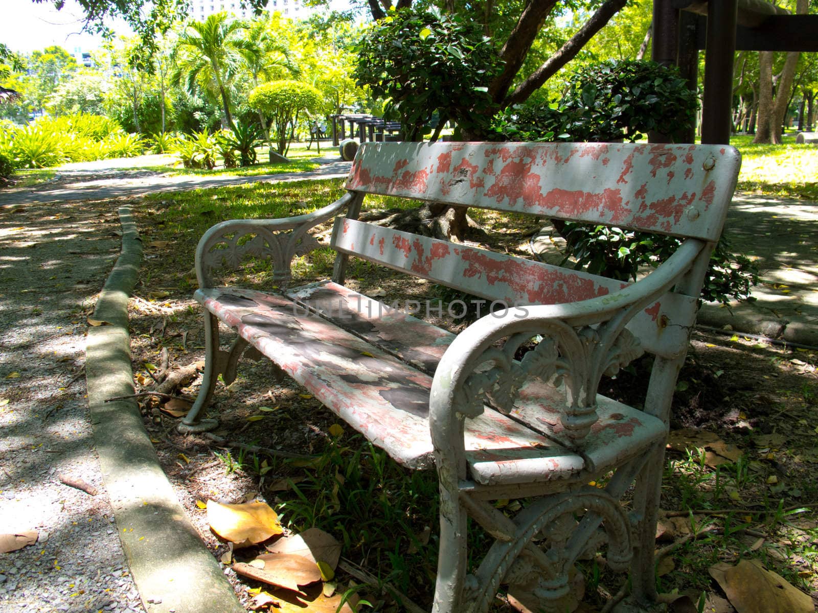 An old bench in a park