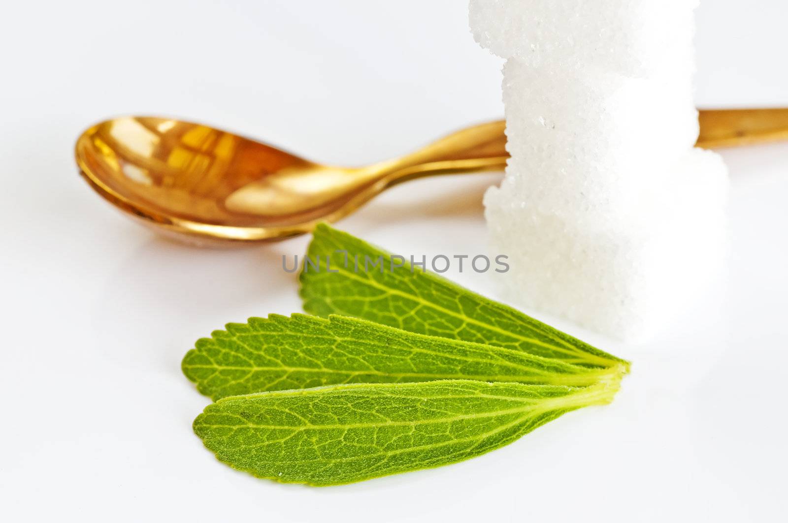 Stevia rebaudiana, support for sugar by Jochen