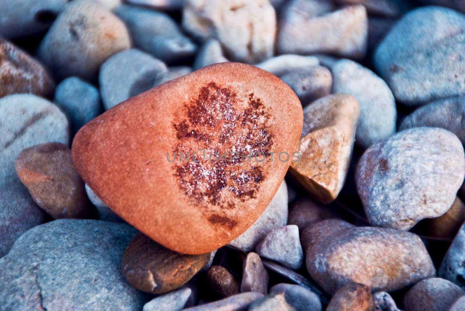 Colorful stones photographed up close. Different shapes and colors.