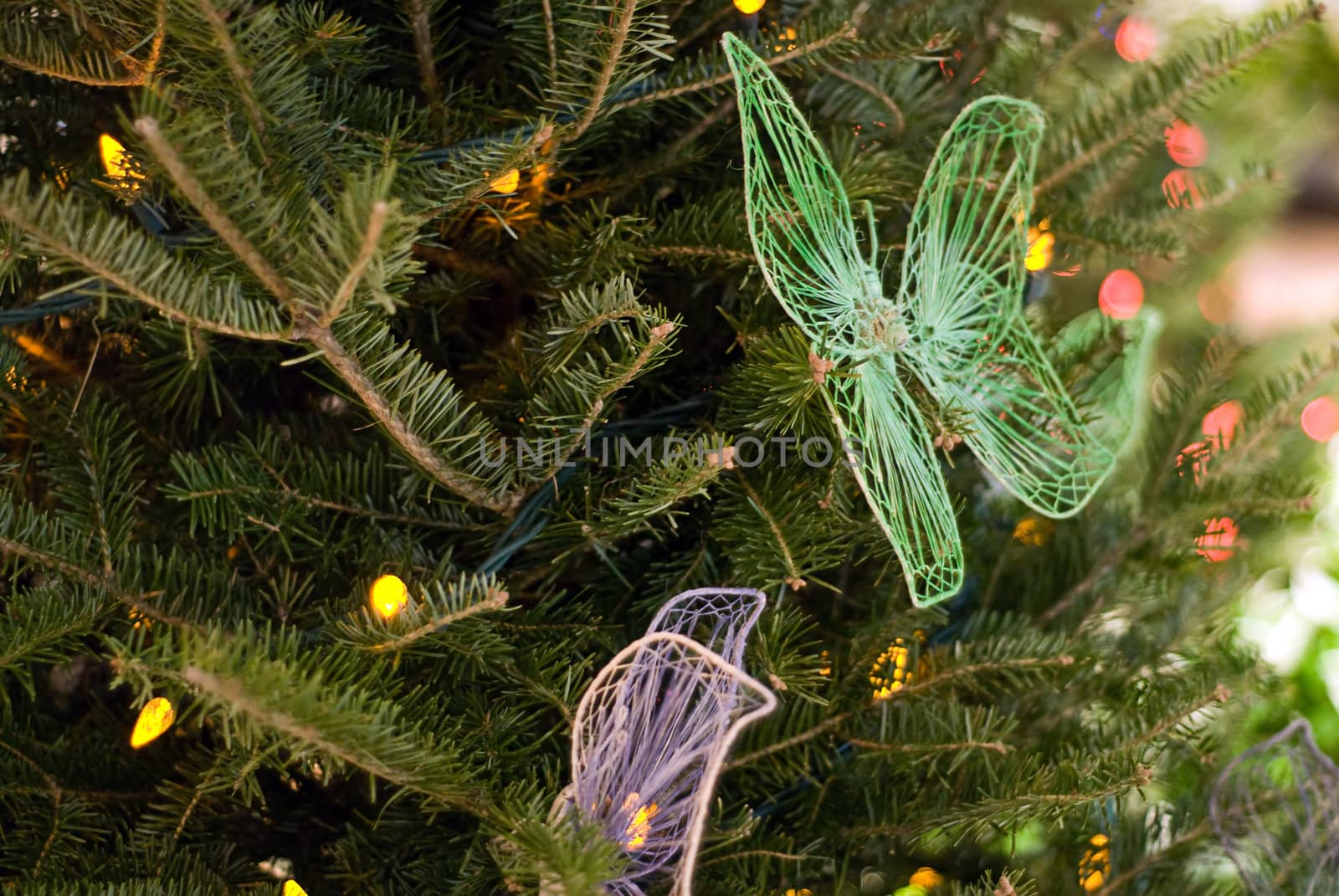 Some butterflies used as christmas decorations on a pine tree