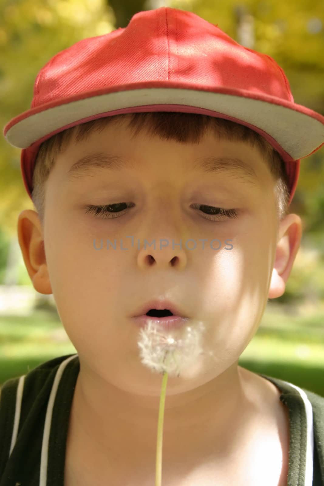 Young boy in filtered light blows seeds away. very shallow dof