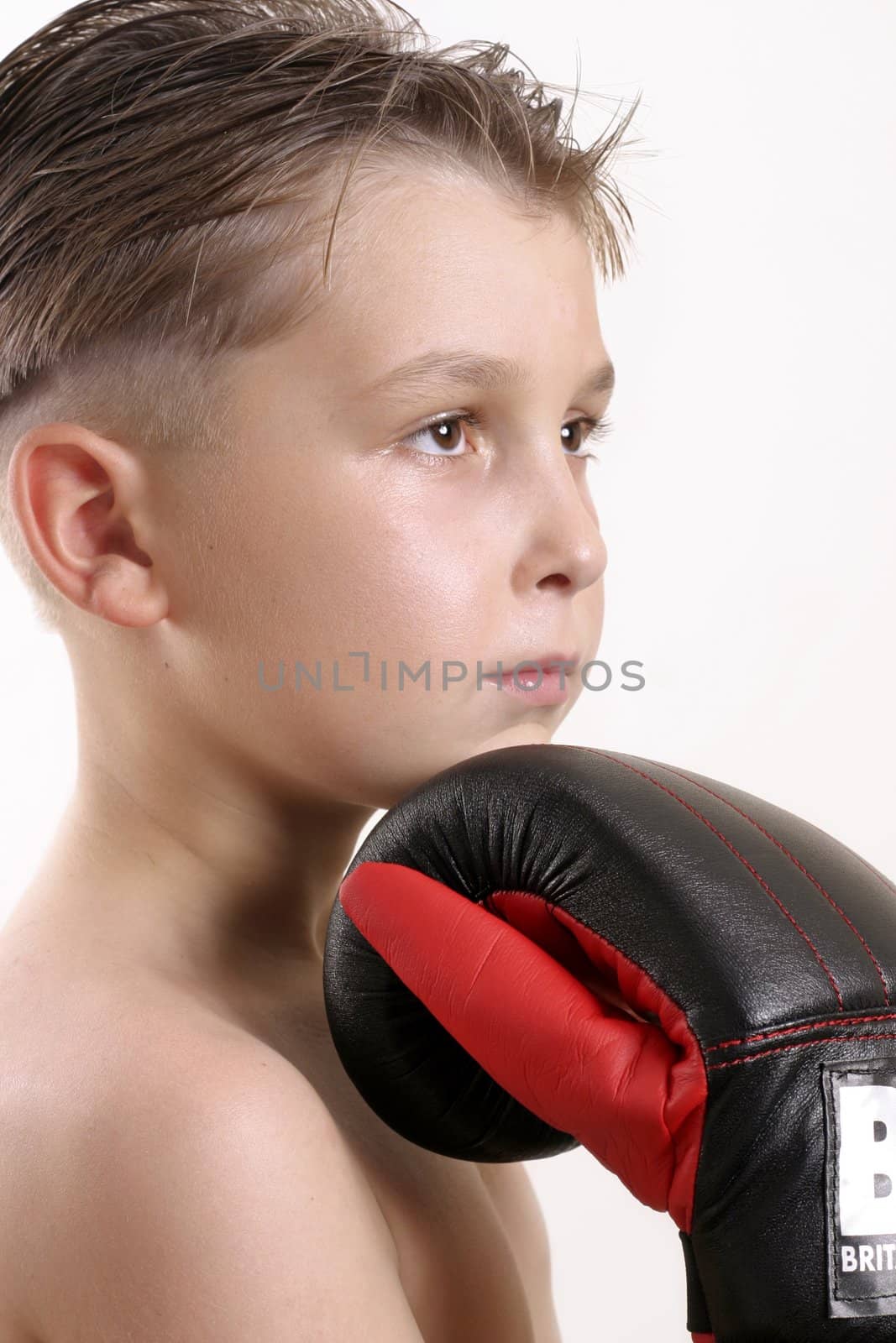 Young Boxer rests his chin on glove