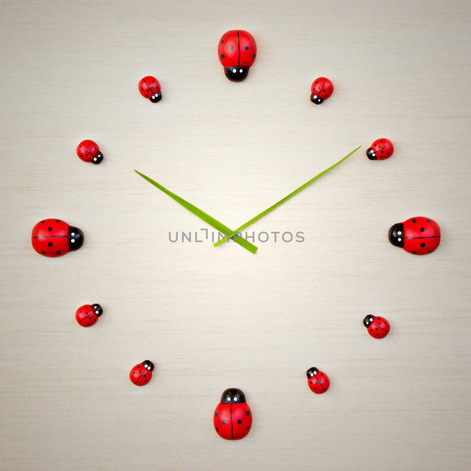 An image of a beautiful ladybird clock