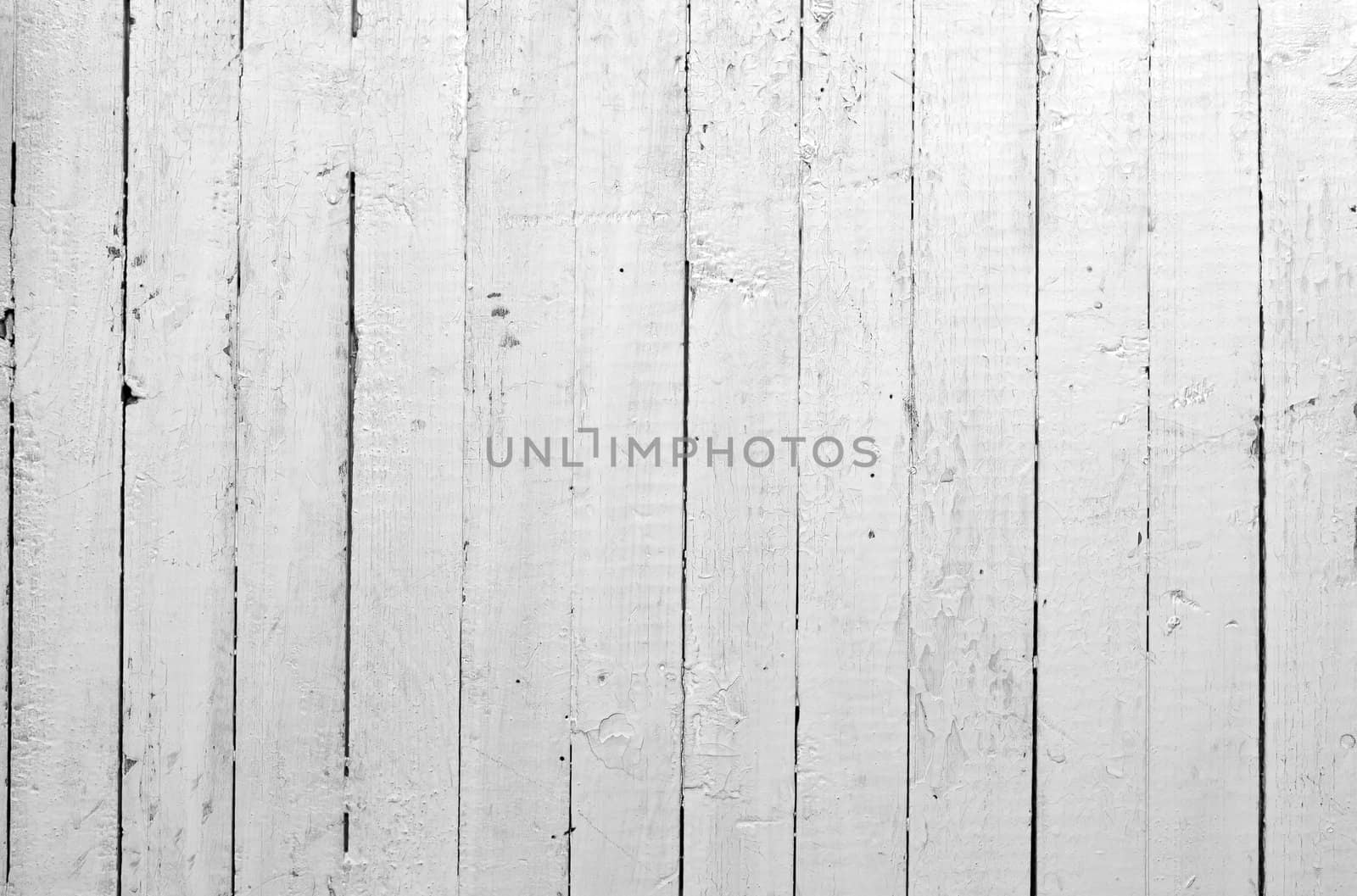 the background of weathered white painted wood