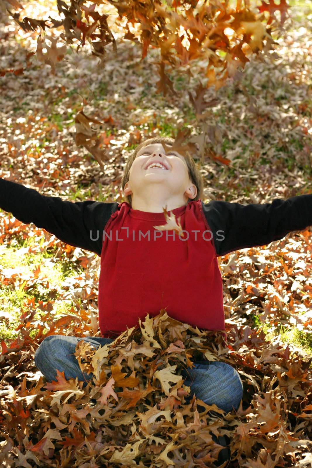 A boy throws a pile of leaves overhead and watches them fall.

400iso