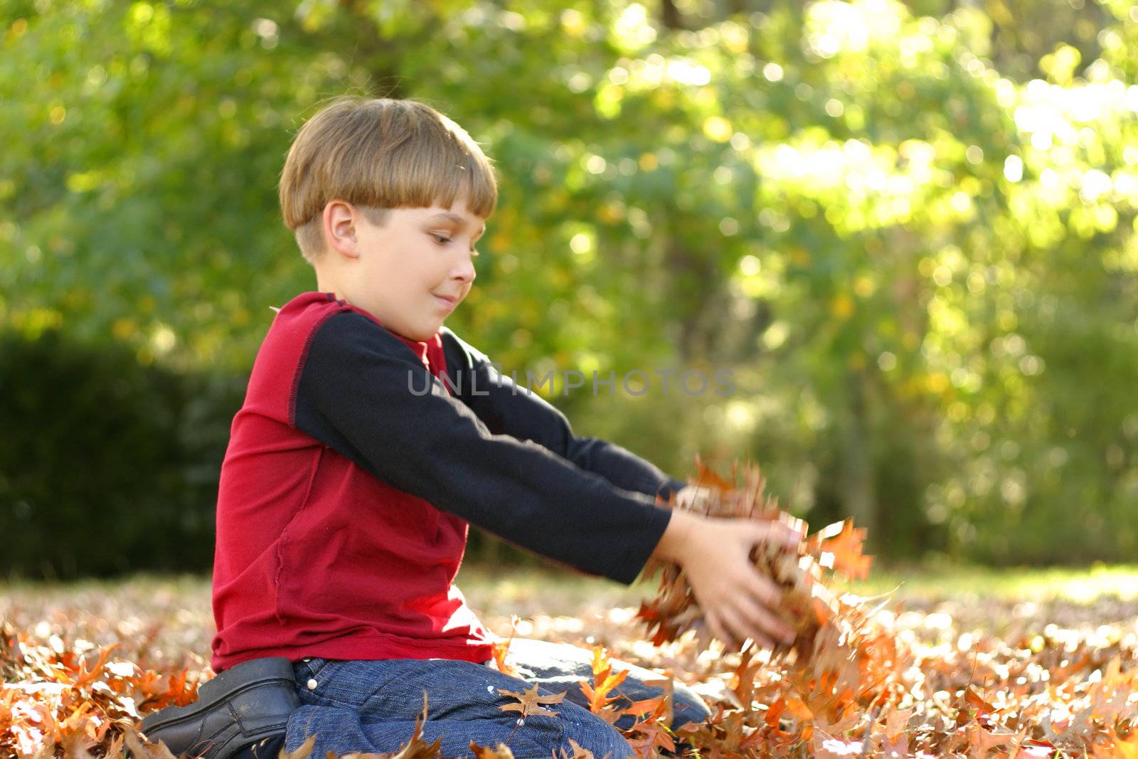 A child playing amongst fallen leaves.  There is motion in his  arms., hands and the leaves he is holding.
400iso