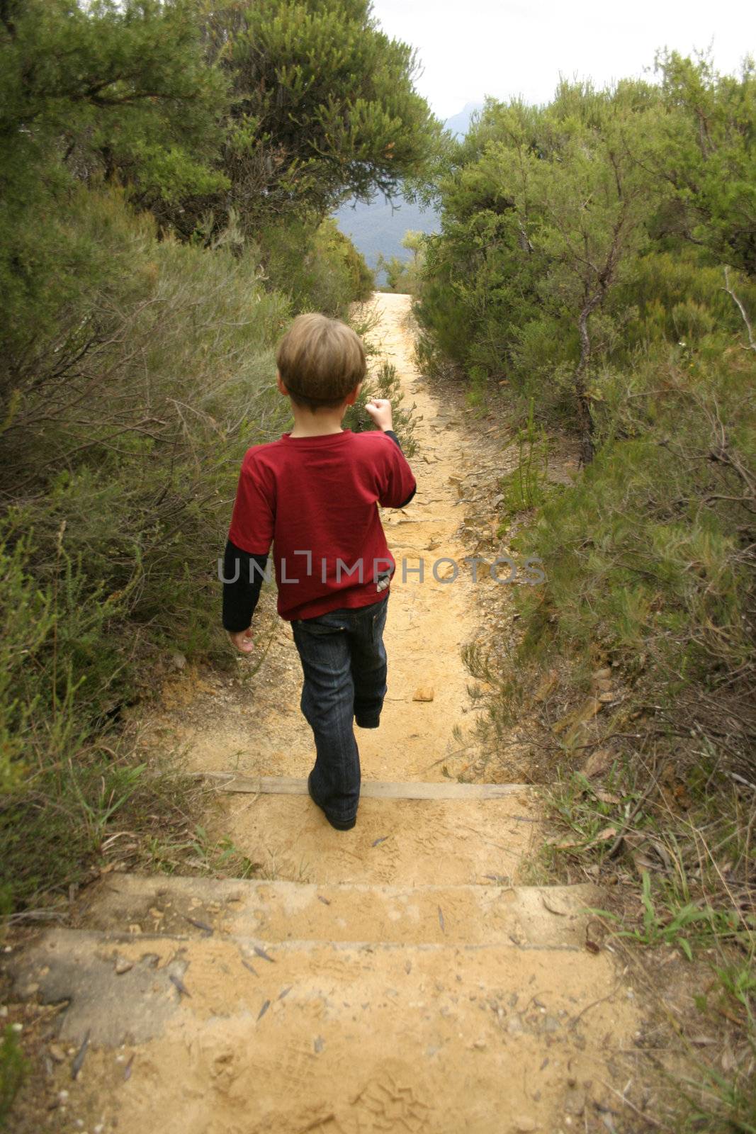 Trekking in the mountains