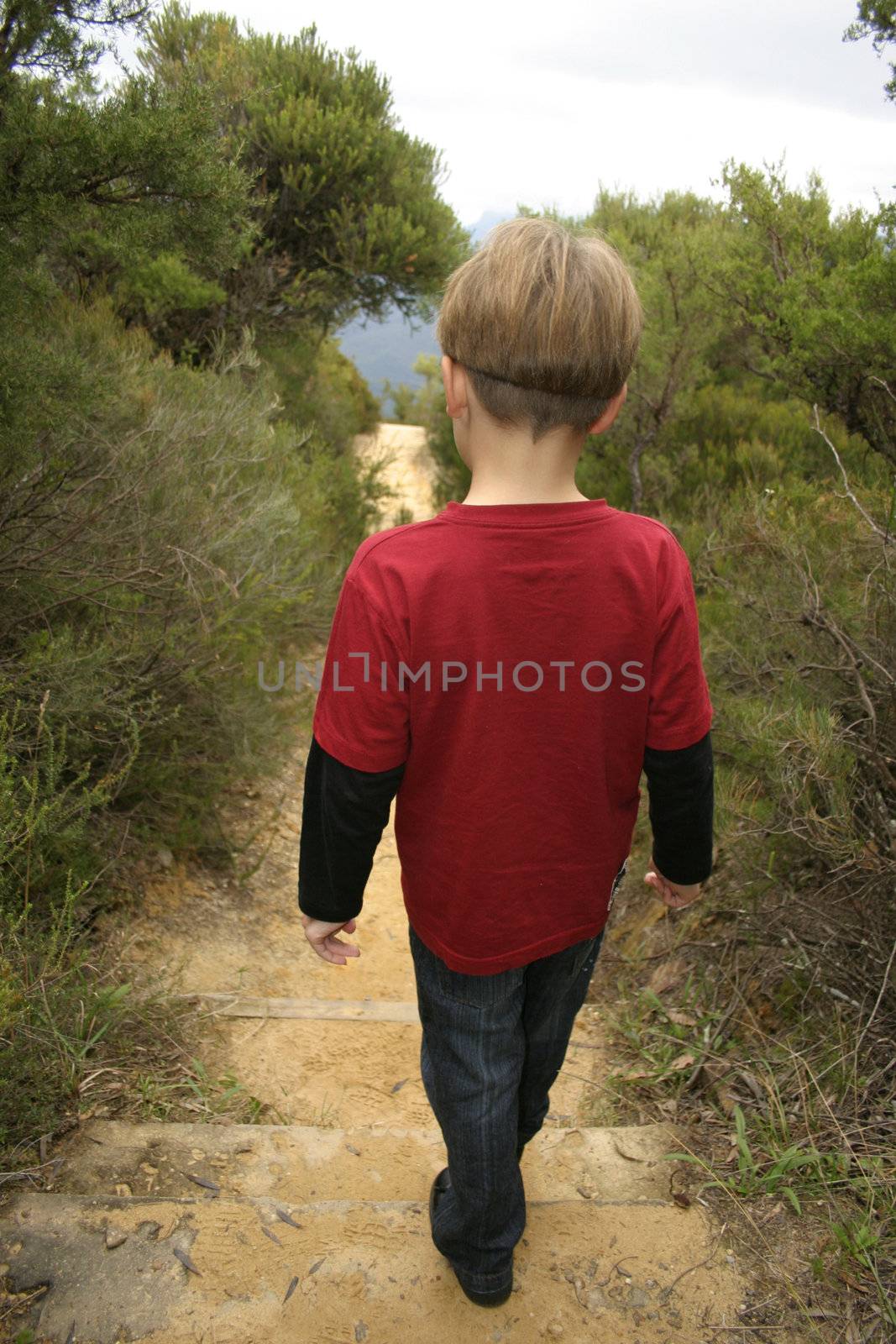 Walking a sandstone track in the mountains