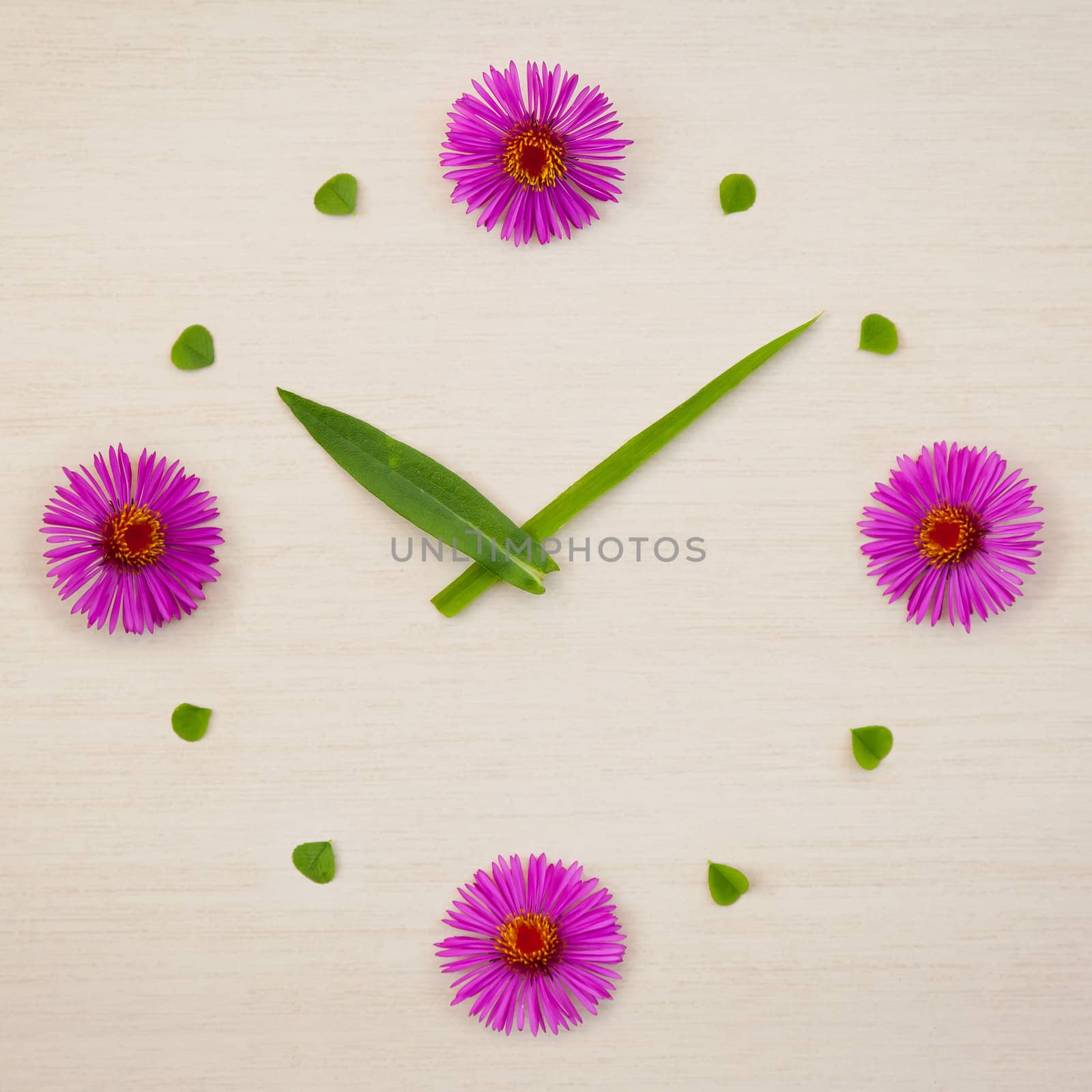 An image of a beautiful flower clock