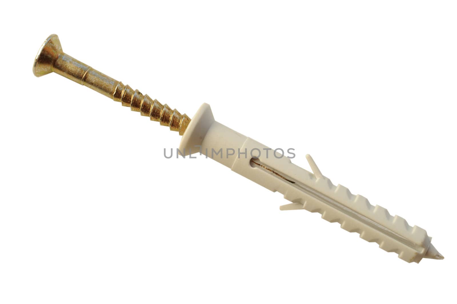Screw and dowel isolated and a white background
