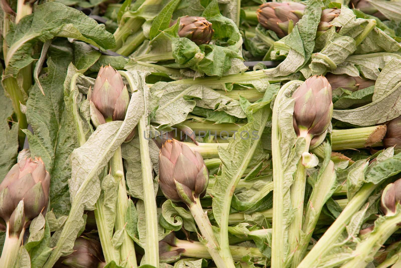 Group of fresh artichokes on a market stall.