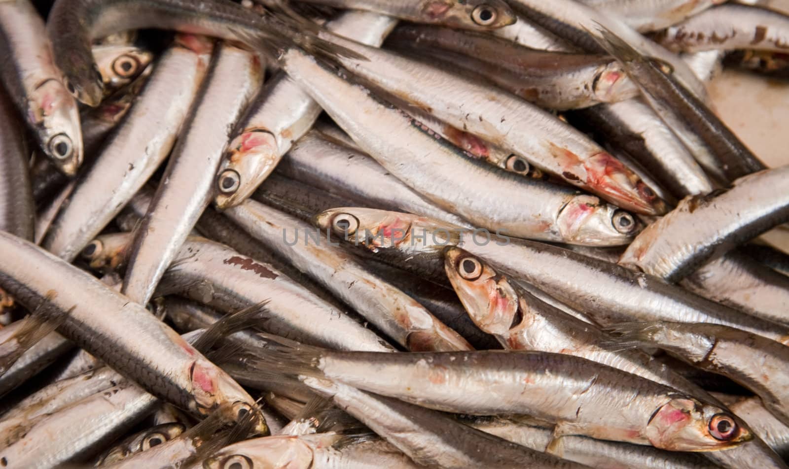 Anchovies on a fresh fish market stall.