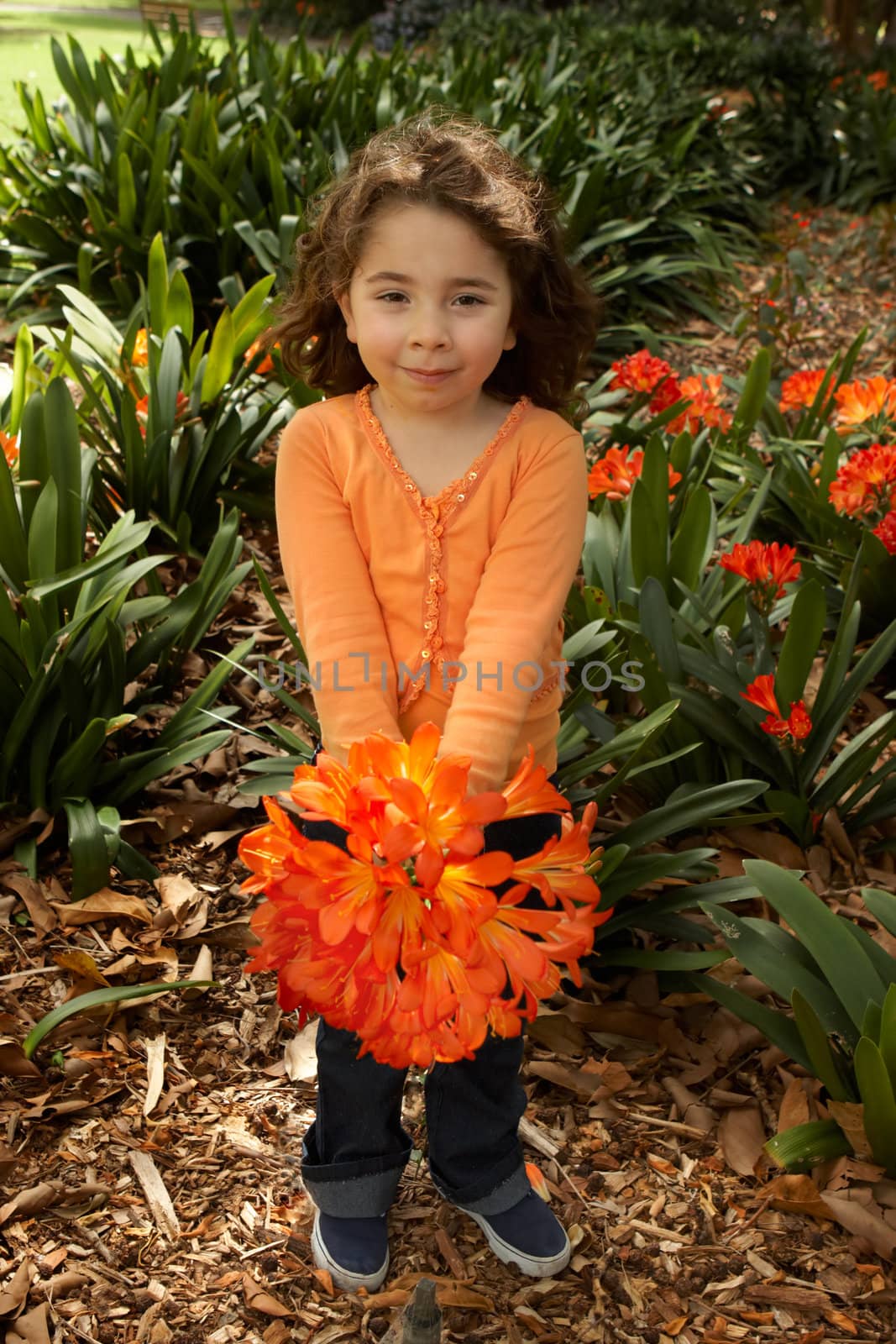 Little girl with a bunch of clivia miniata (bush lilies) from the garden
