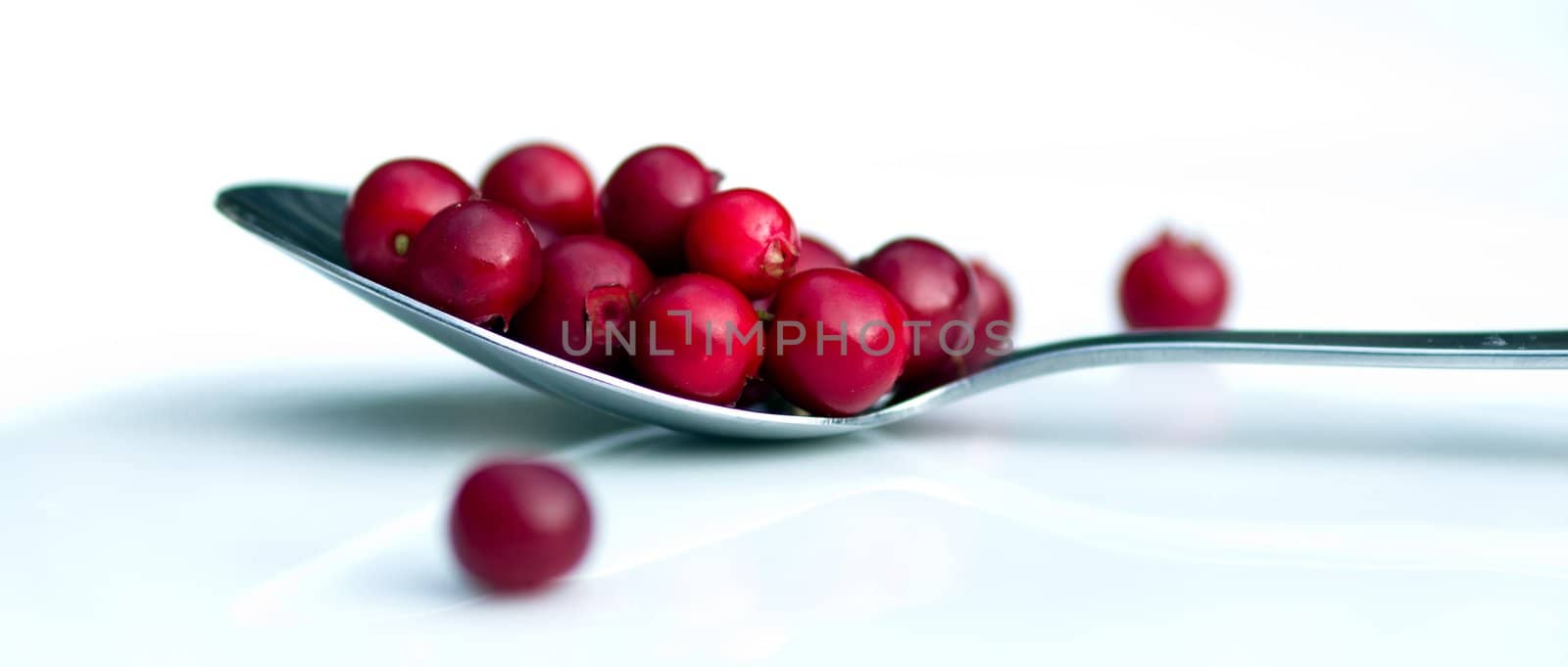 Cranberries by baggiovara