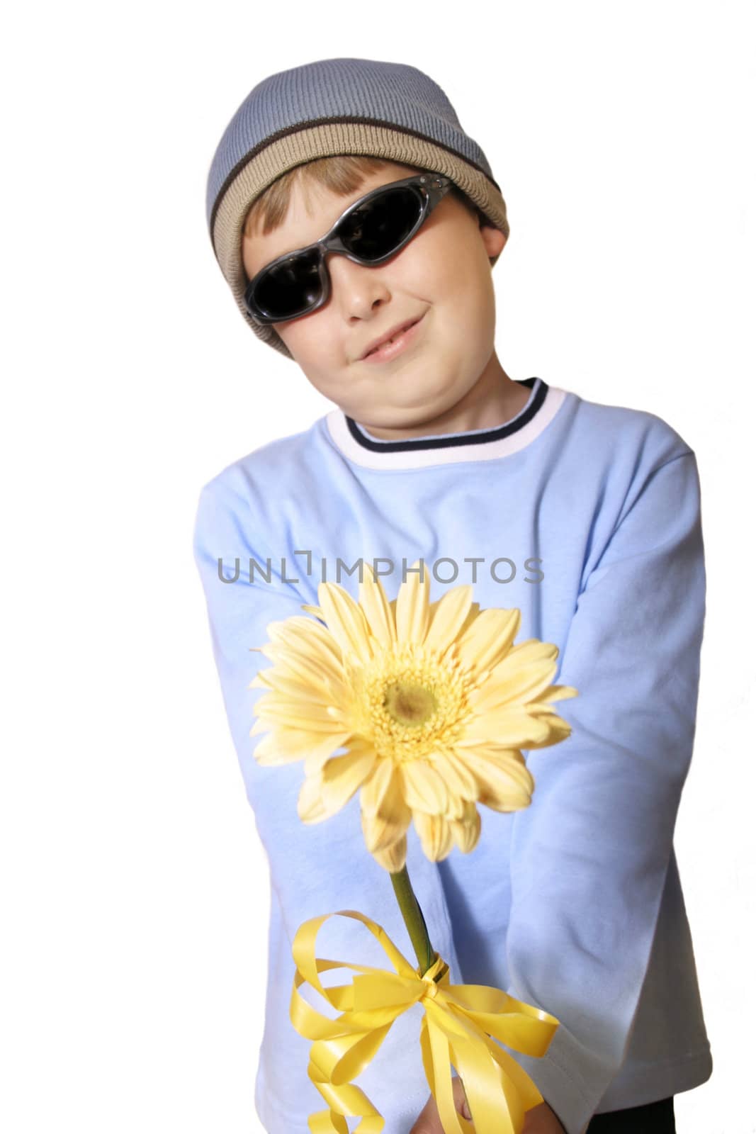 A boy with large creamy yellow gerbera.

