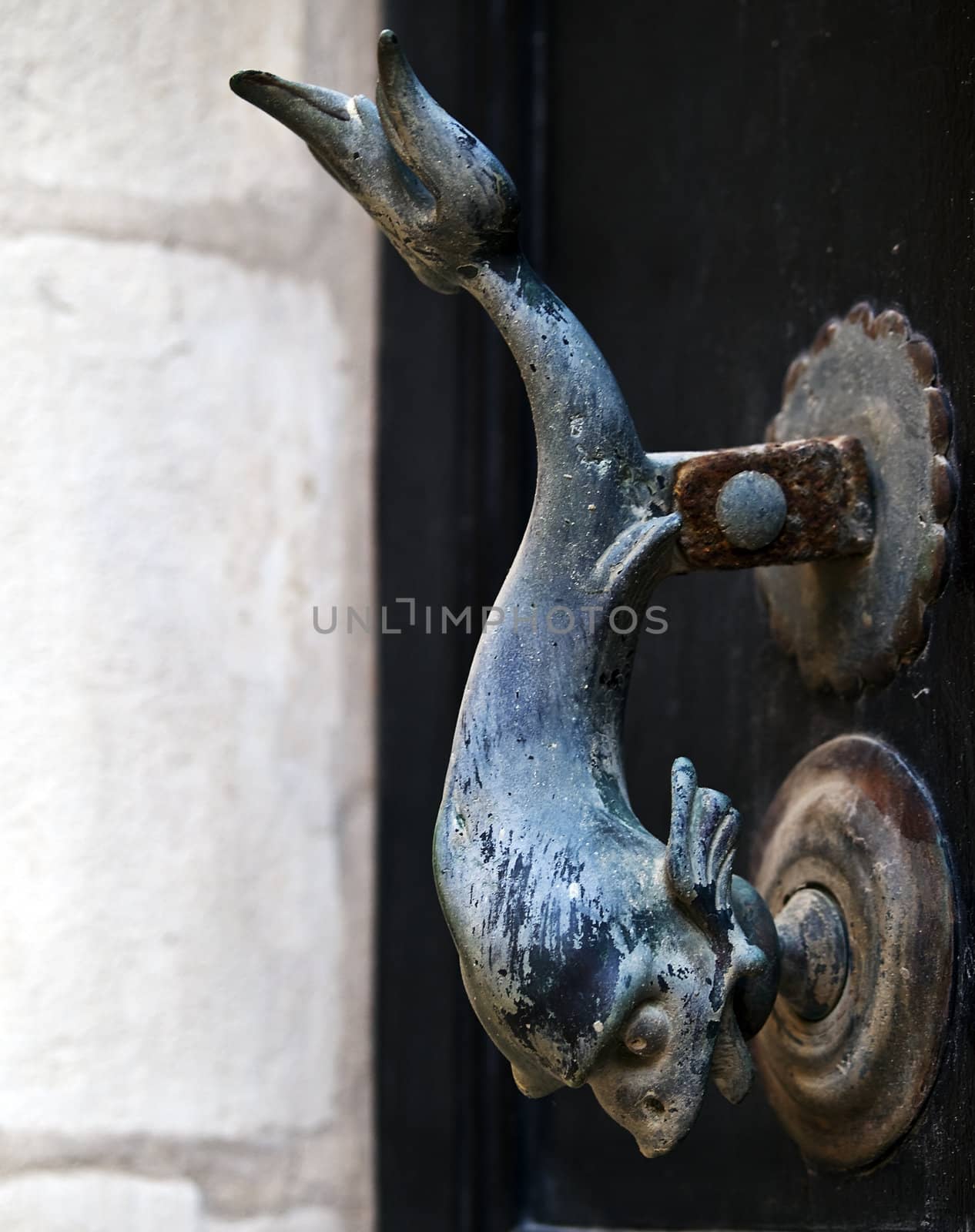Old bronze dolphin shaped doorknocker on a door in the old city of Mdina in Malta