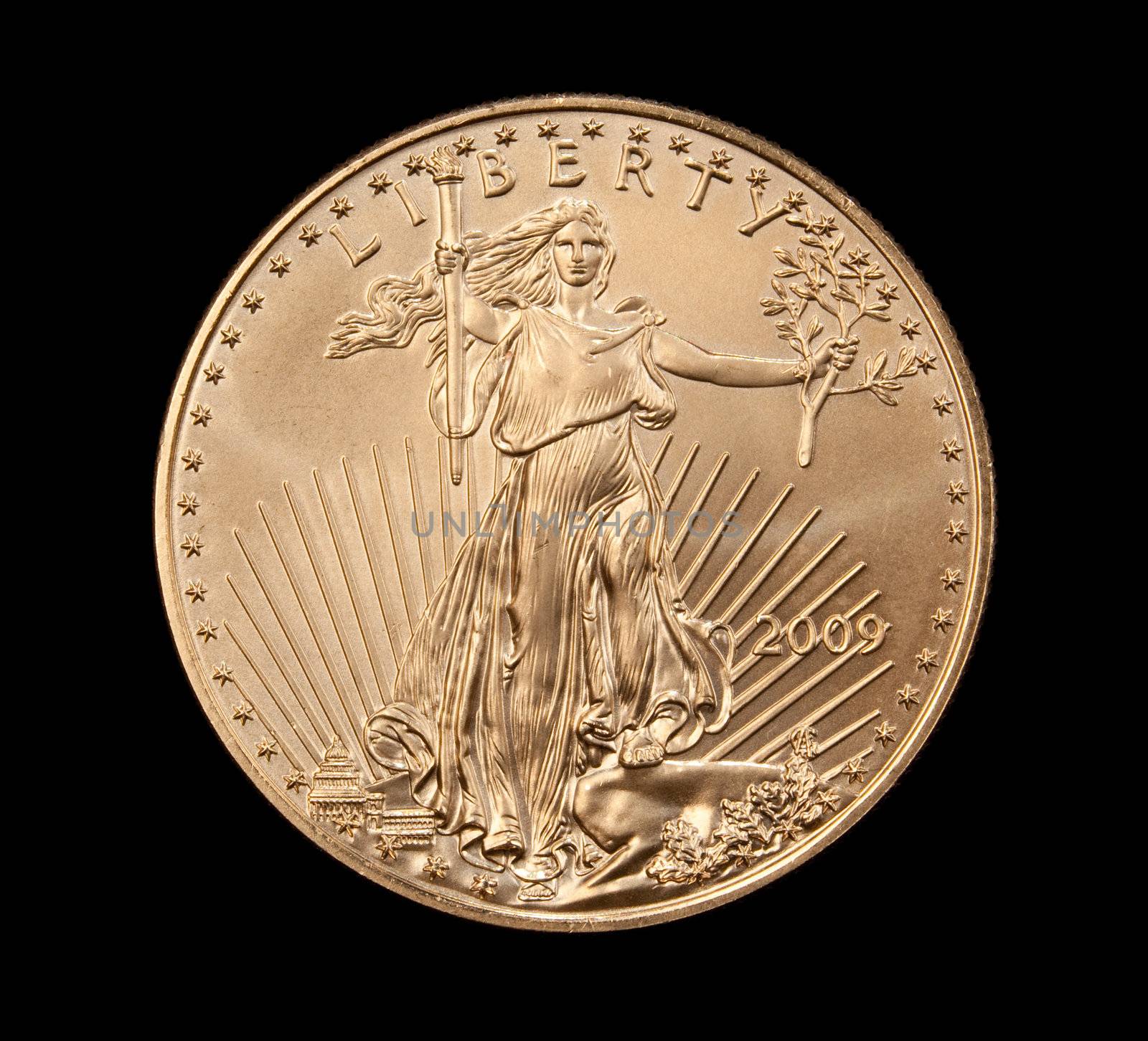 Close up of the Liberty side of a gold coin by steheap