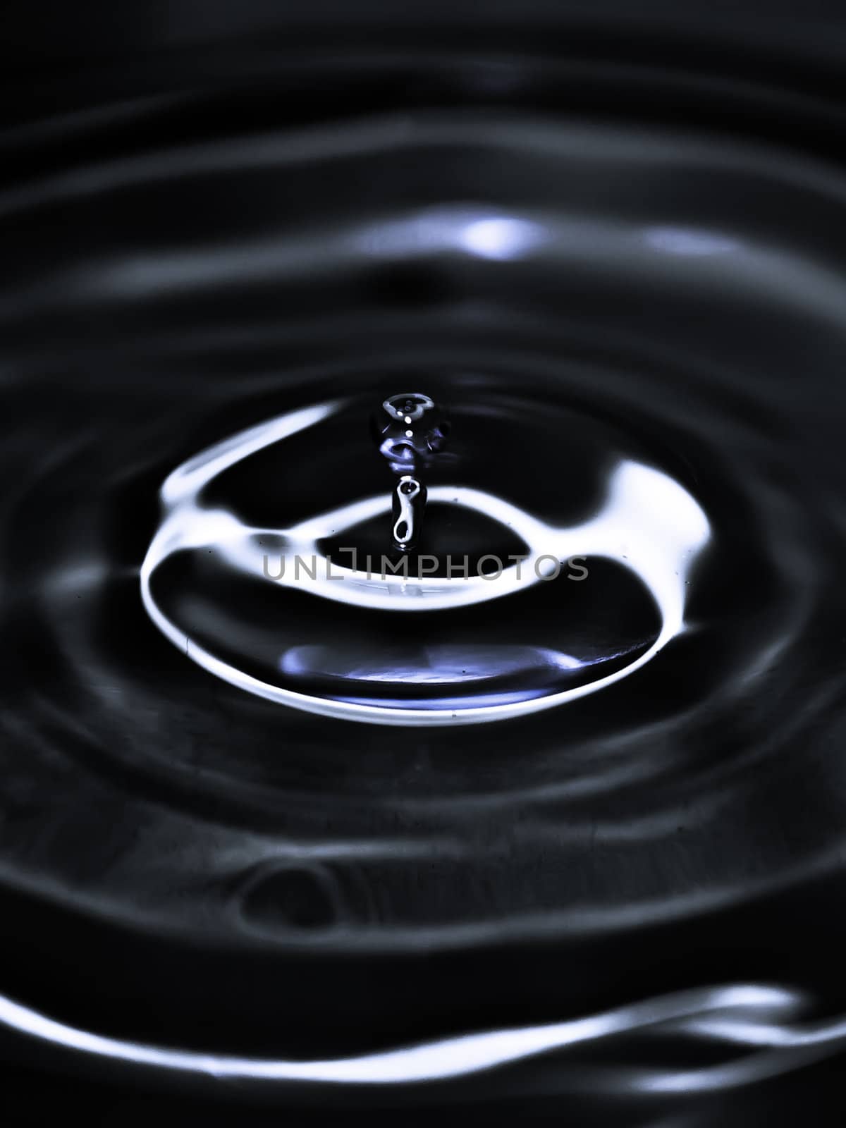 Drops and Ripples by PhotoWorks