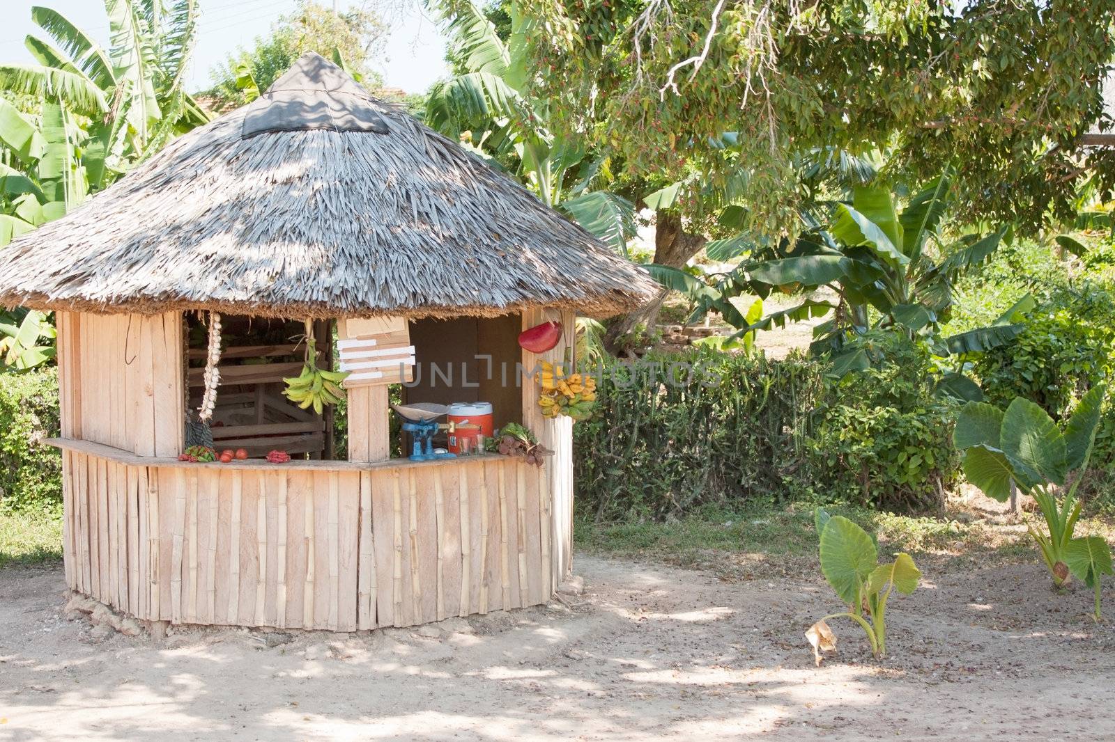 A kiosk selling tropical fruit and vegetables  in the shoulder of a road in Cuba, surrounded by tropical vegetation.