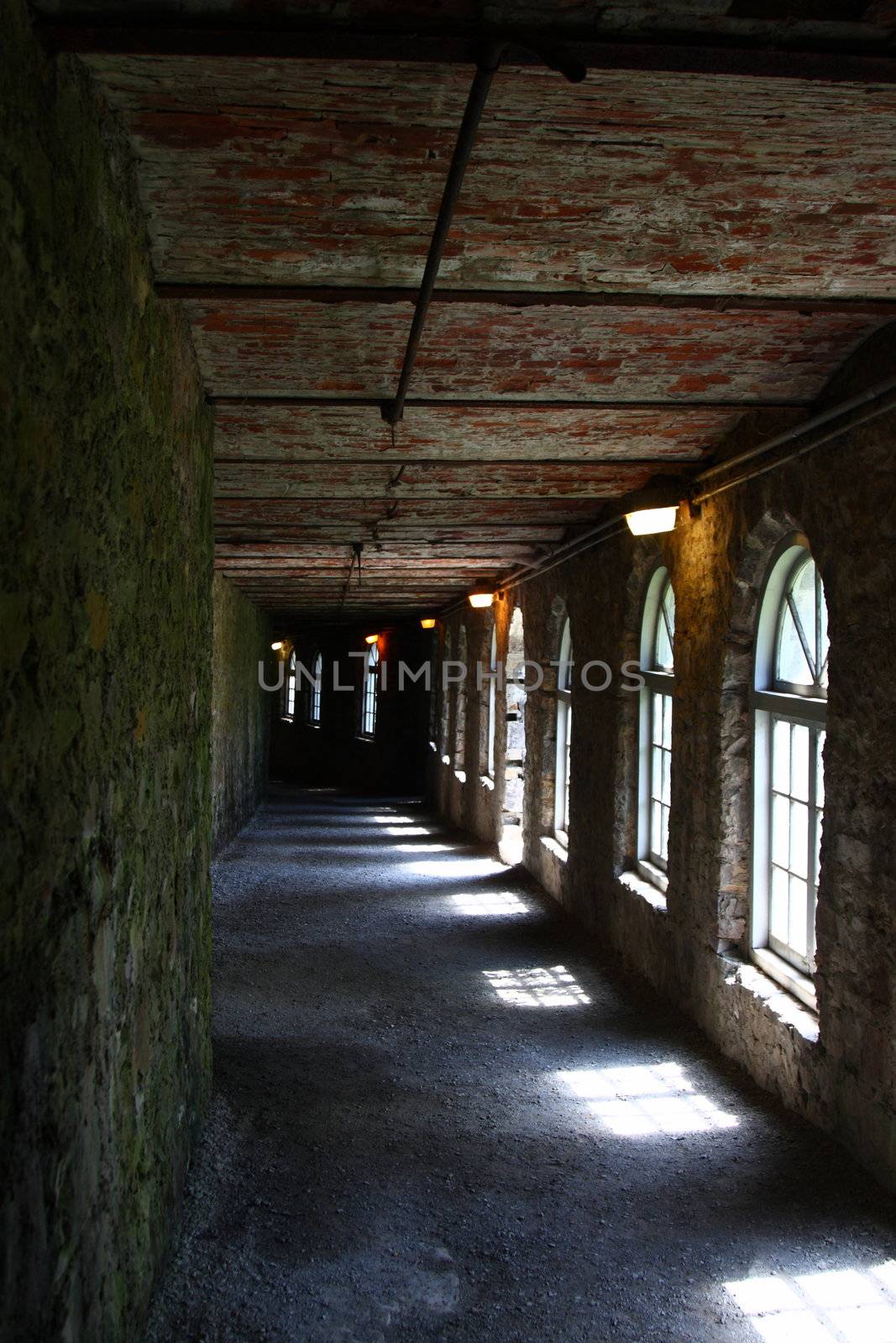 long passageway in wine cellar by njene