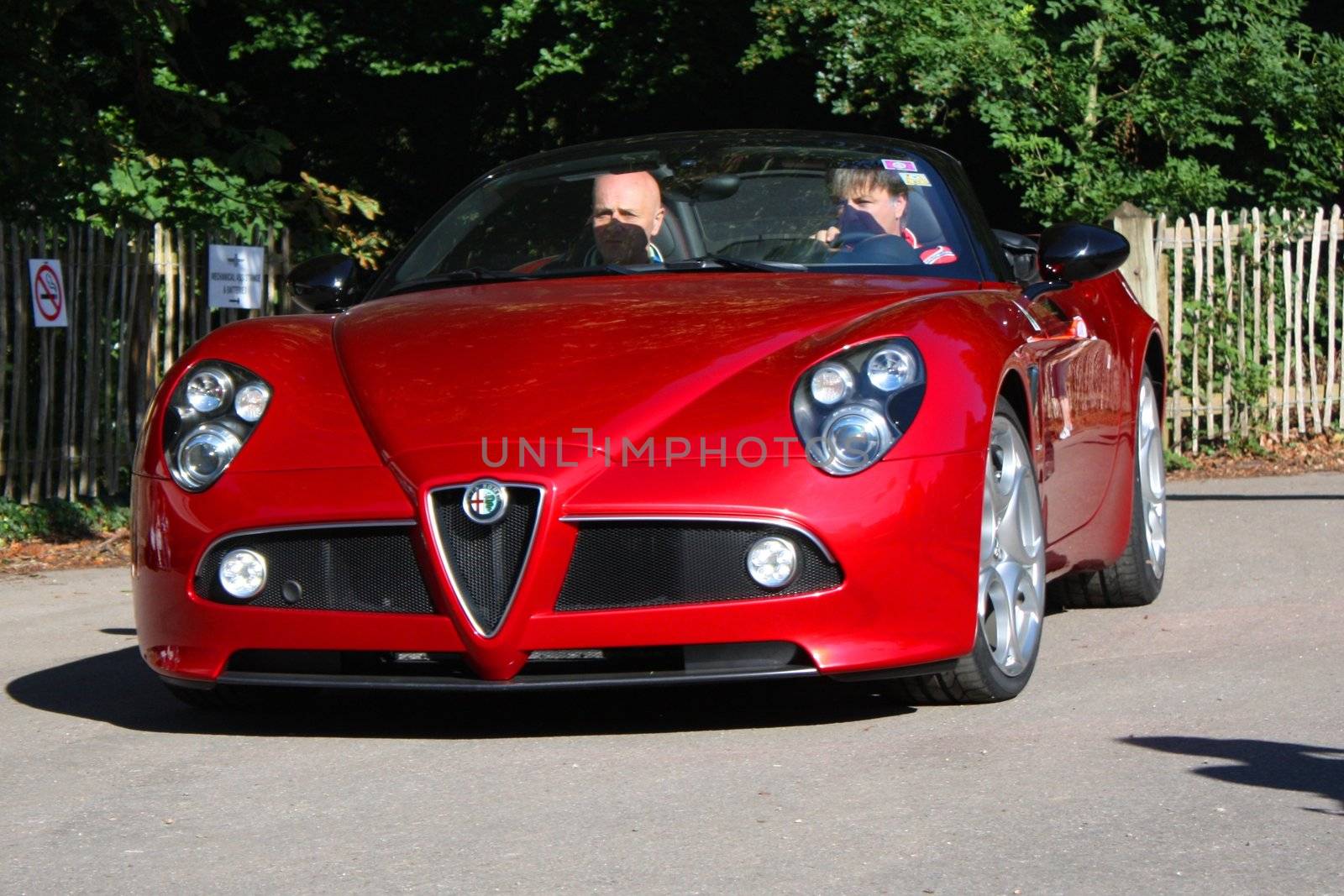 Alfa Romeo 8C by chrisga