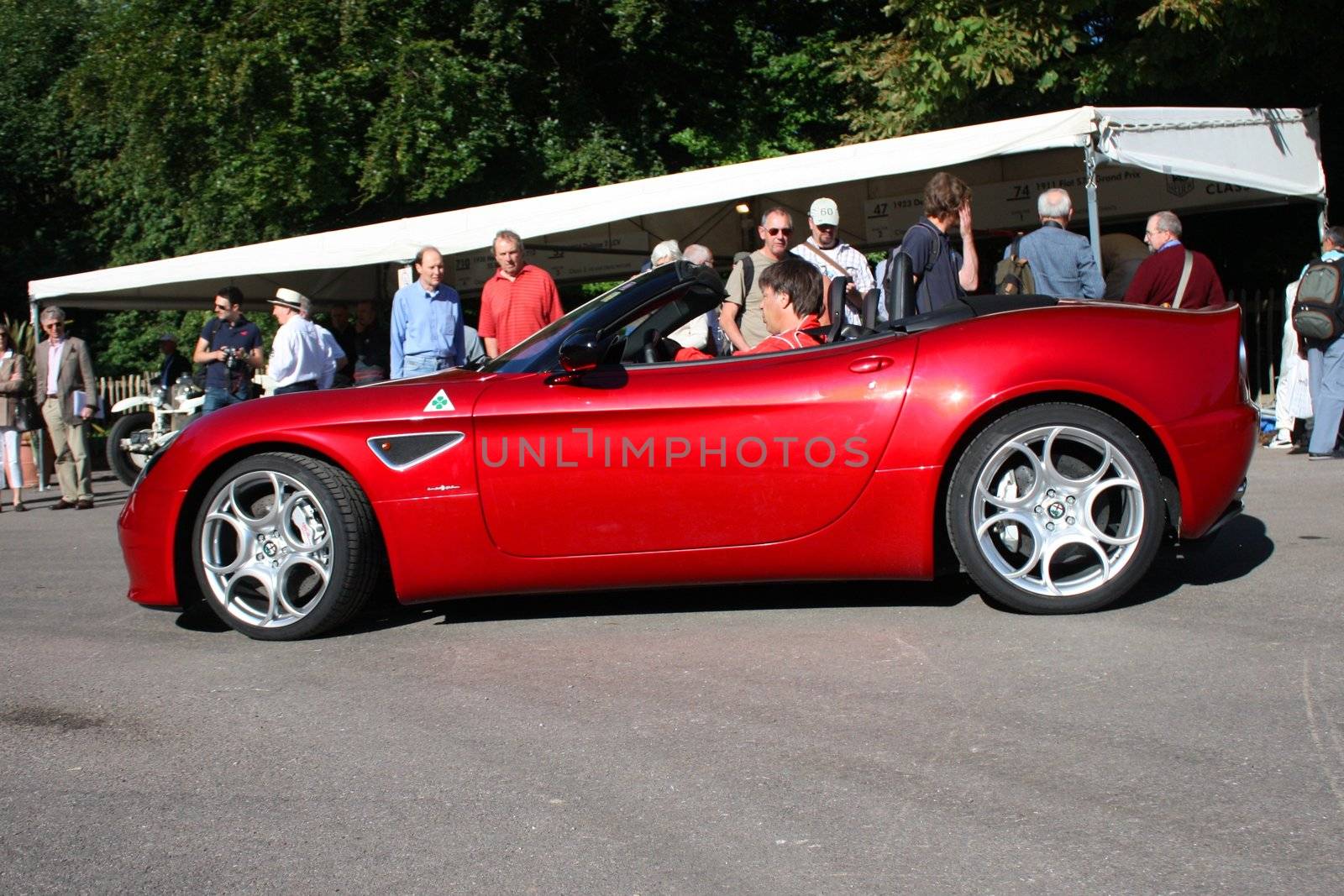 Alfa Romeo 8C by chrisga