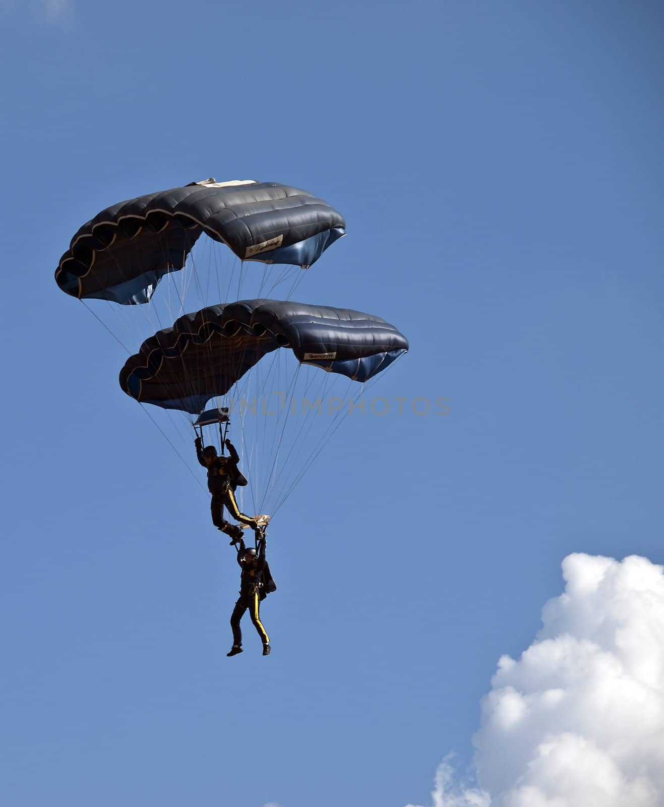 Tigers FreeFall Parachute Team by PhotoWorks