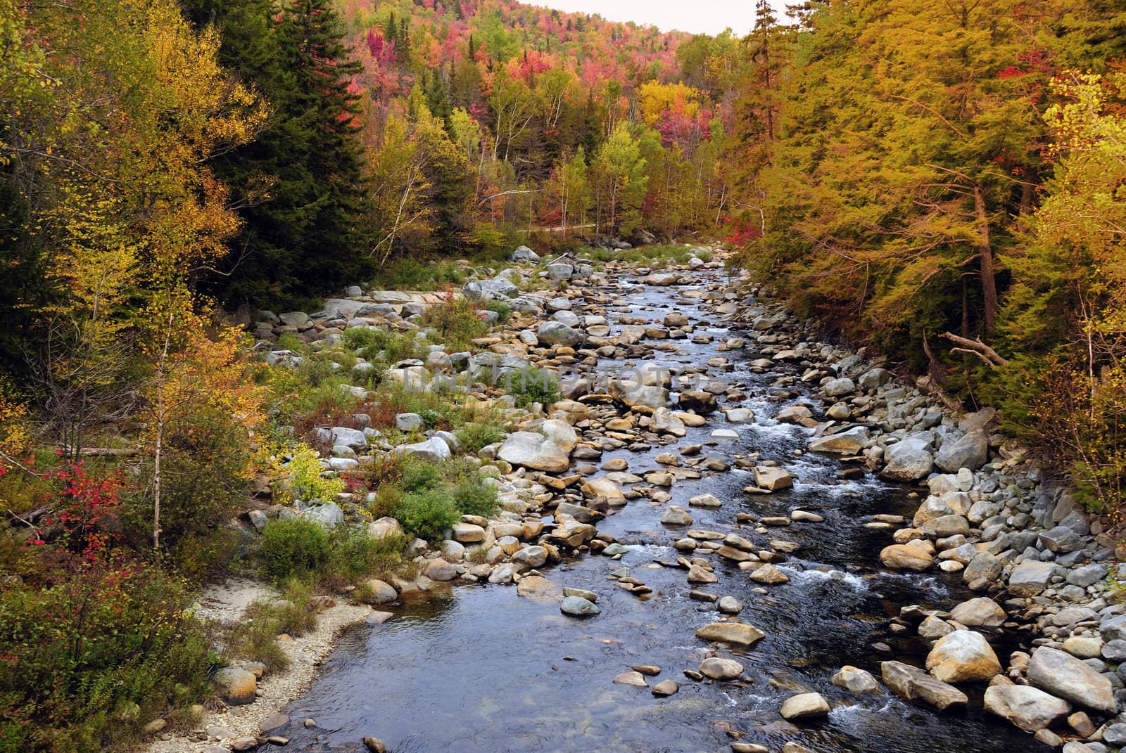 A stream of water gushing through the mountains