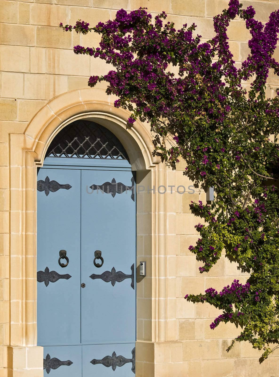 Mdina Door by PhotoWorks