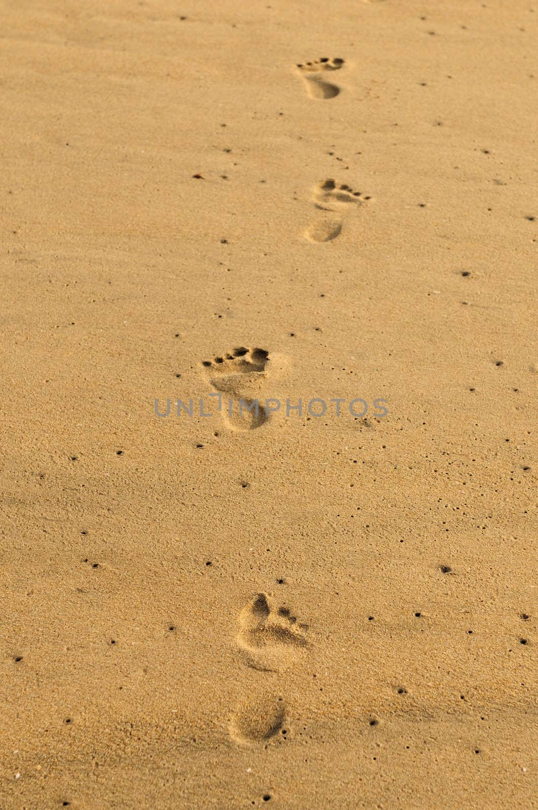 Set of footsteps on a beach sand 
