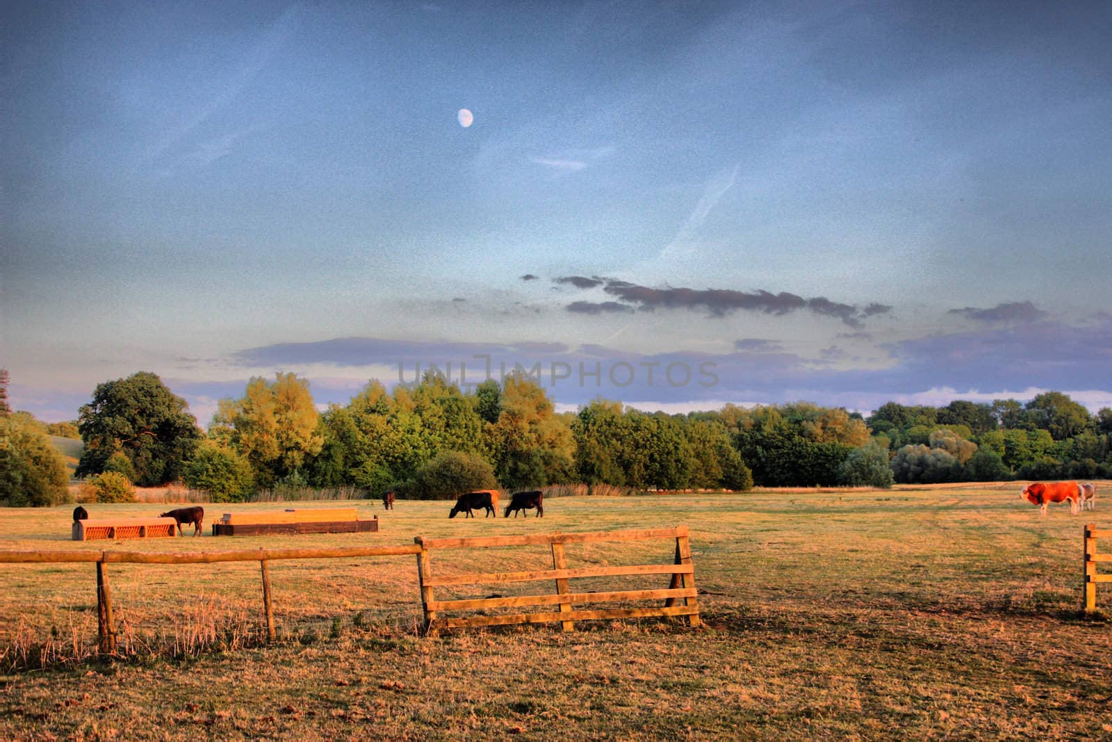 A rural country scene