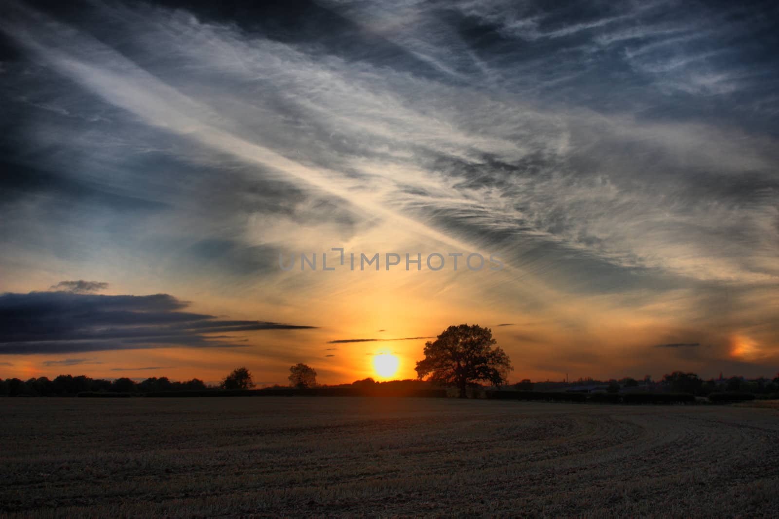 sunset over a countryside field