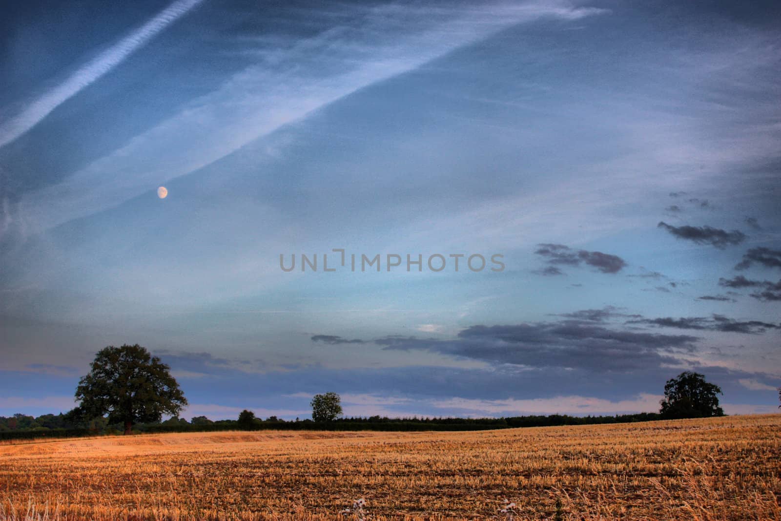 Blue sky over a field