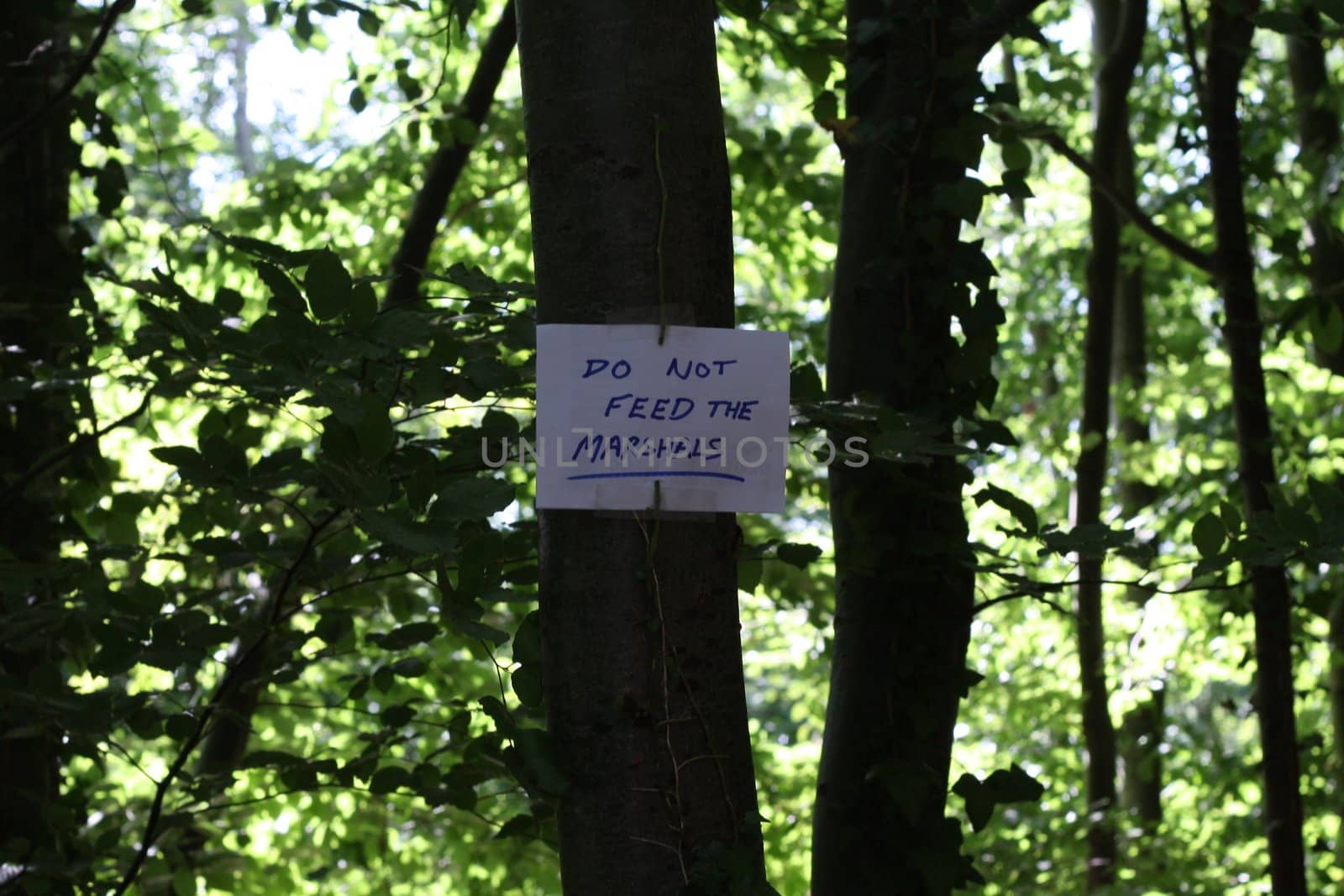 Do not feed the marshalls sign