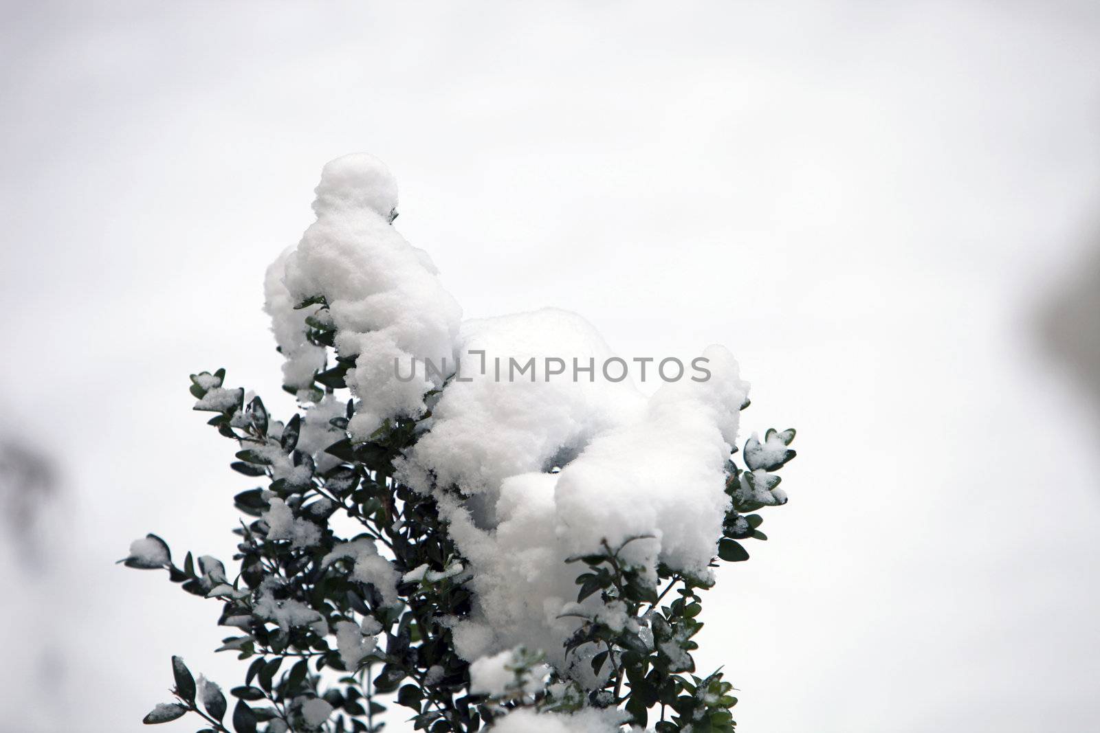 Winter Landscape by Farina6000