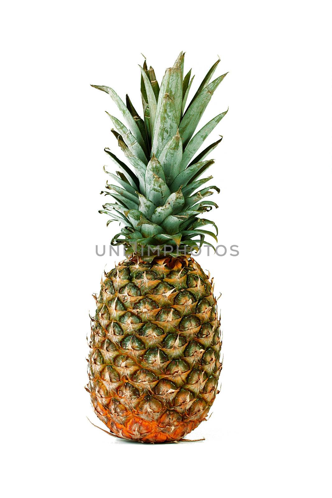 Tropical sweet fruit - pineapple on a white background. Pineapple is used in many menus.