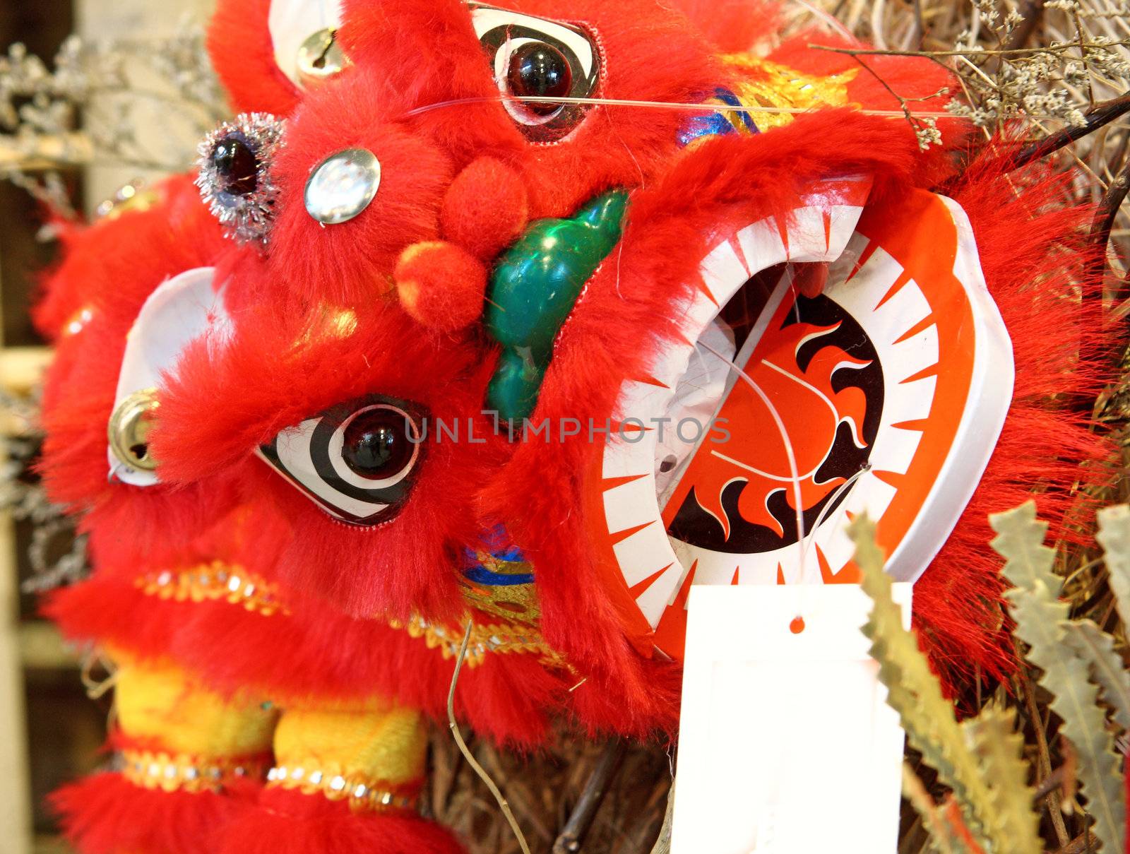 chinese lion head 