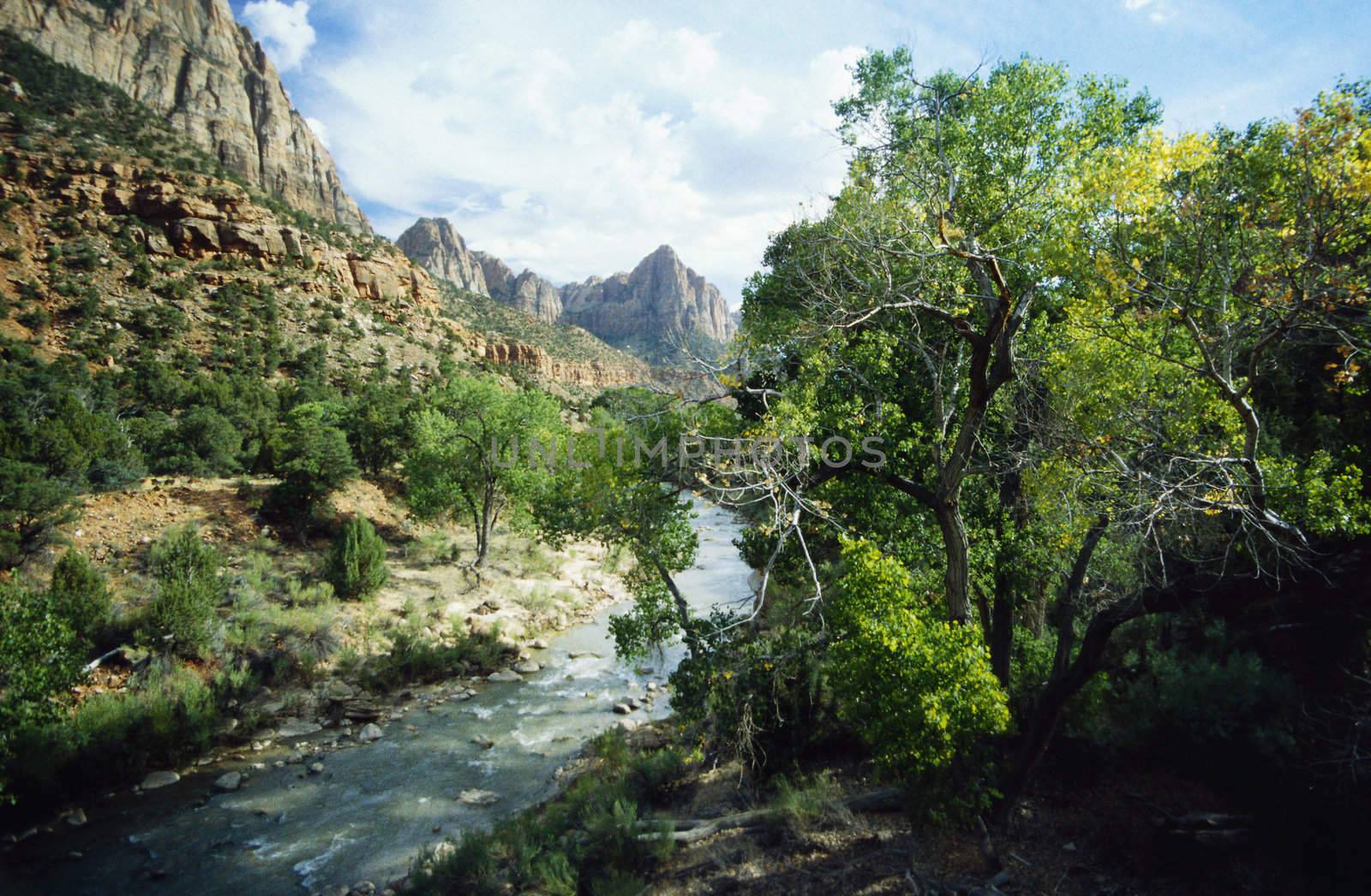 The Mountais of the Zion National Park