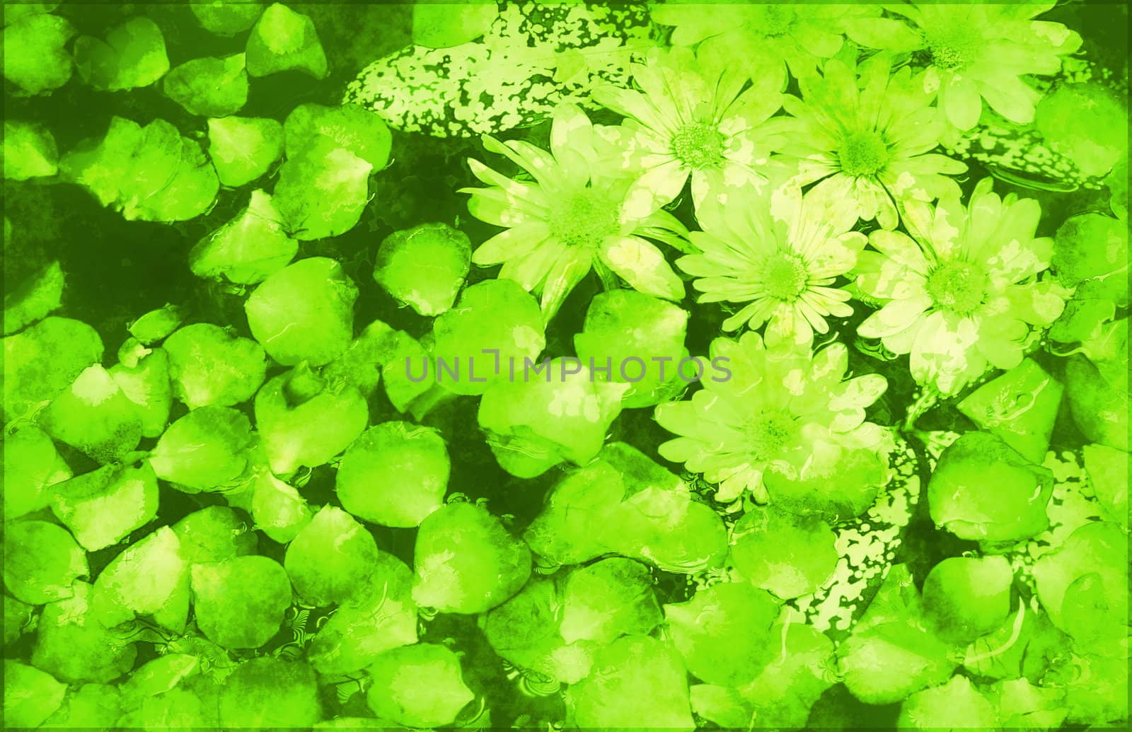 Painted Flowers Background Grunge Creative as Art