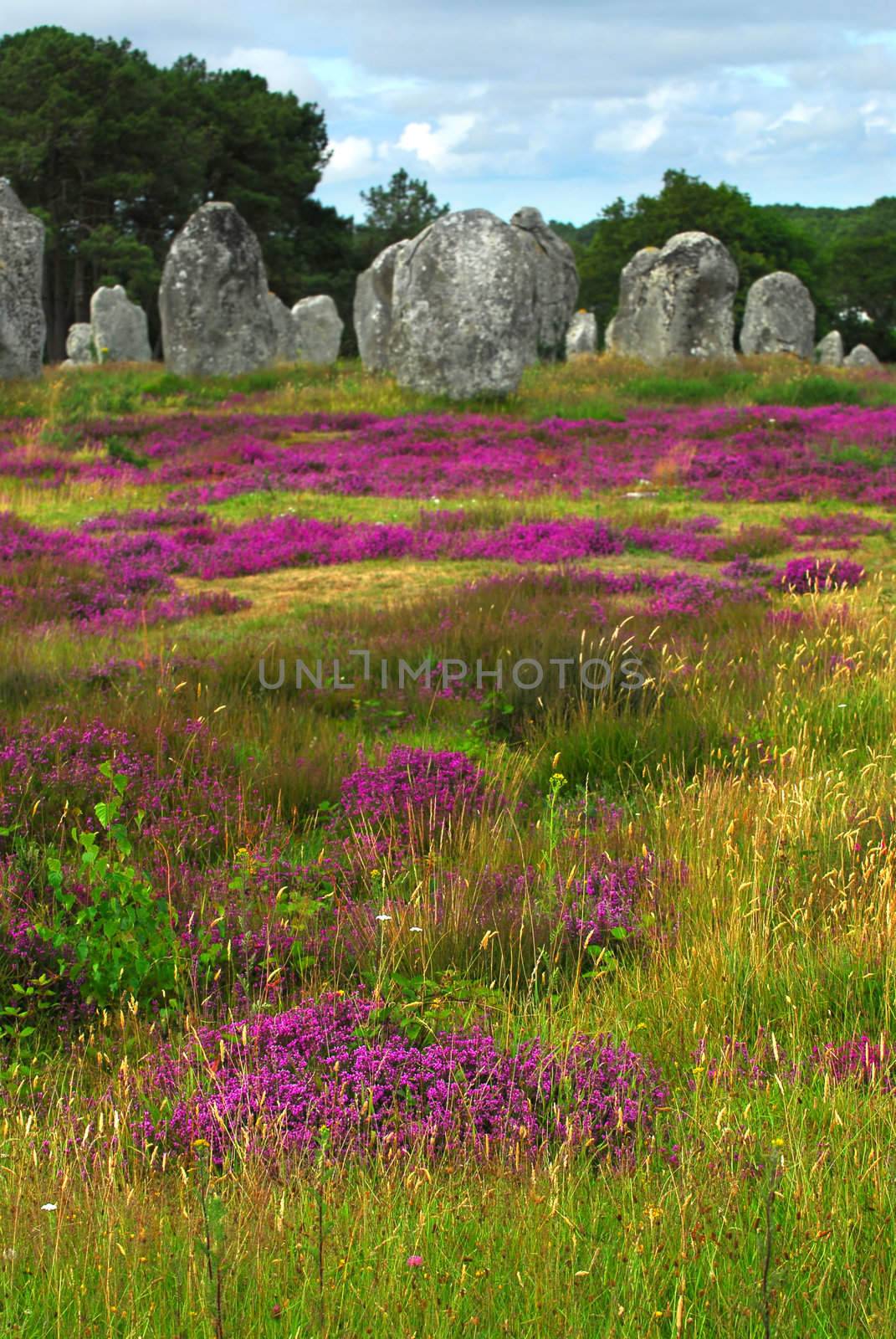 Megalithic monuments in Brittany by elenathewise