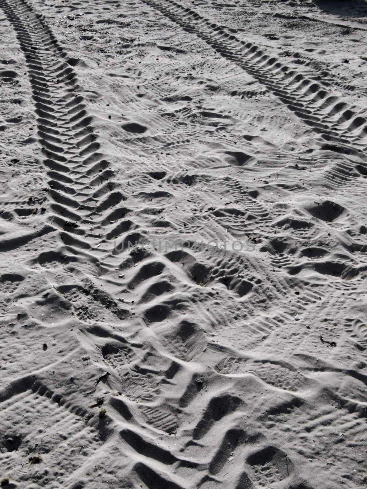 Desert Tracks by PhotoWorks