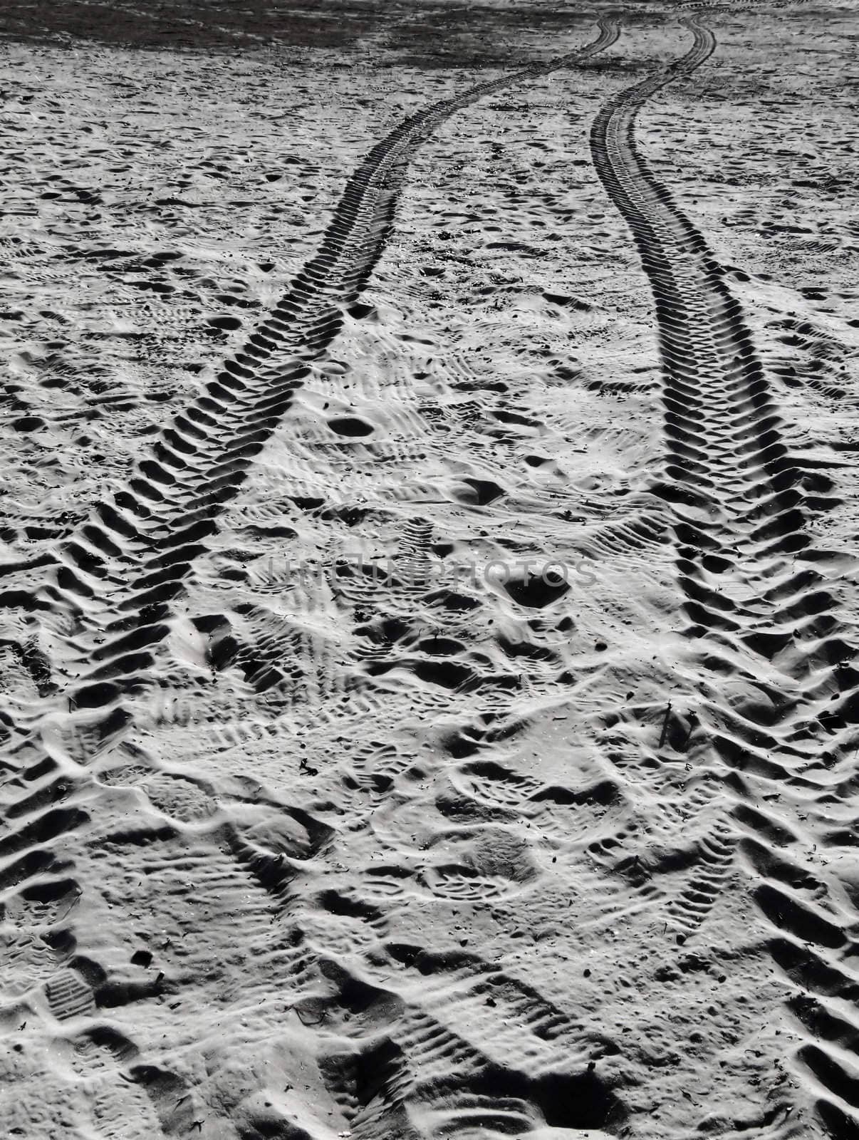 Tyre tracks imprinted in the Sahara desert sands - resemblance to lunar rover tracks
