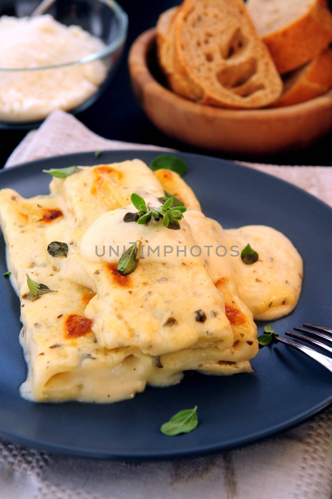 Cheese cannelloni pasta served on a plate with alfredo sauce