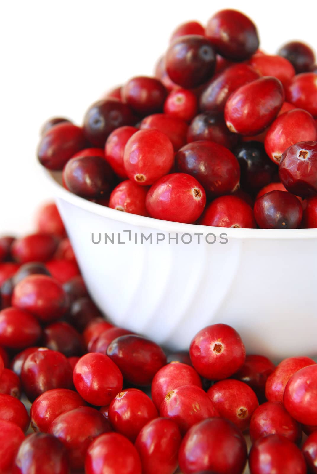 Cranberries in a bowl by elenathewise